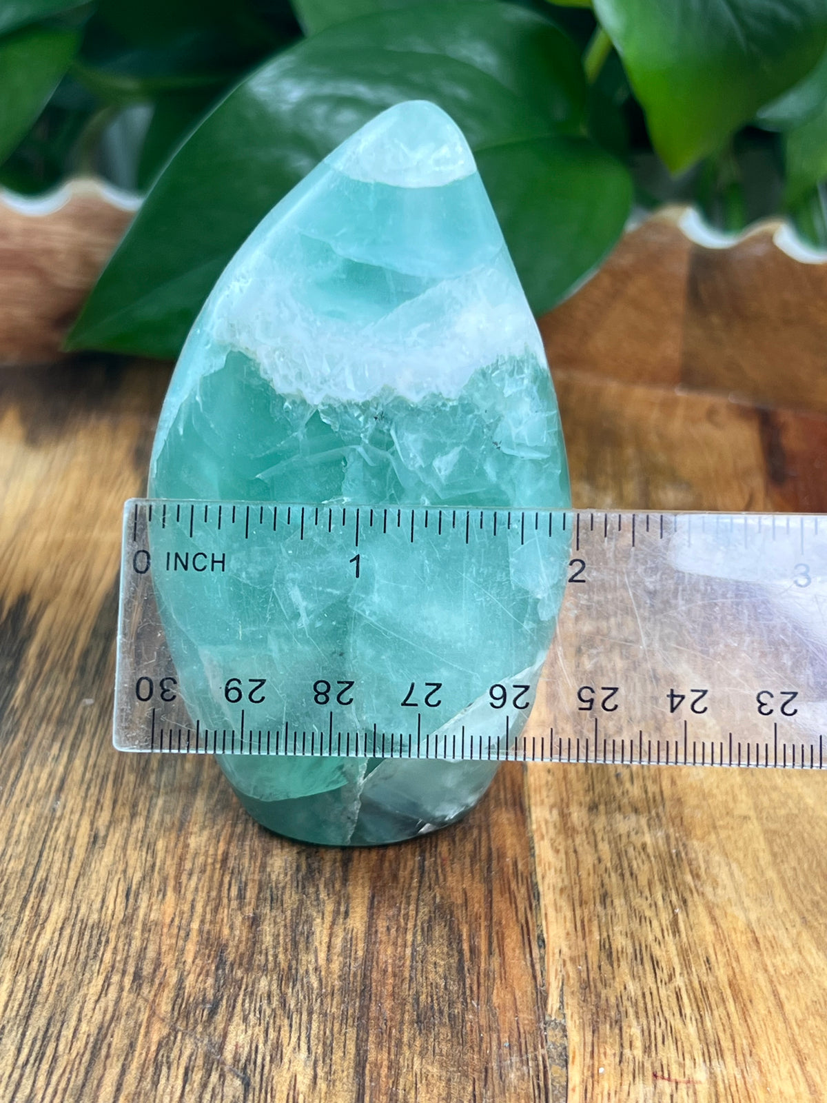 Mexican Flourite Freeform: AE