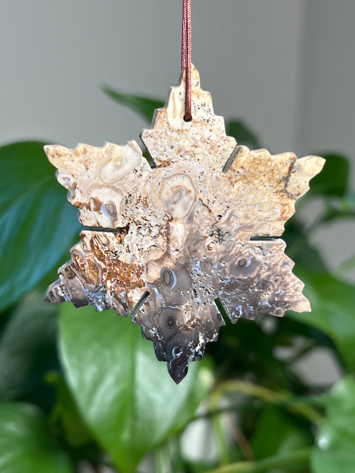 Palm Root Snowflake Ornaments