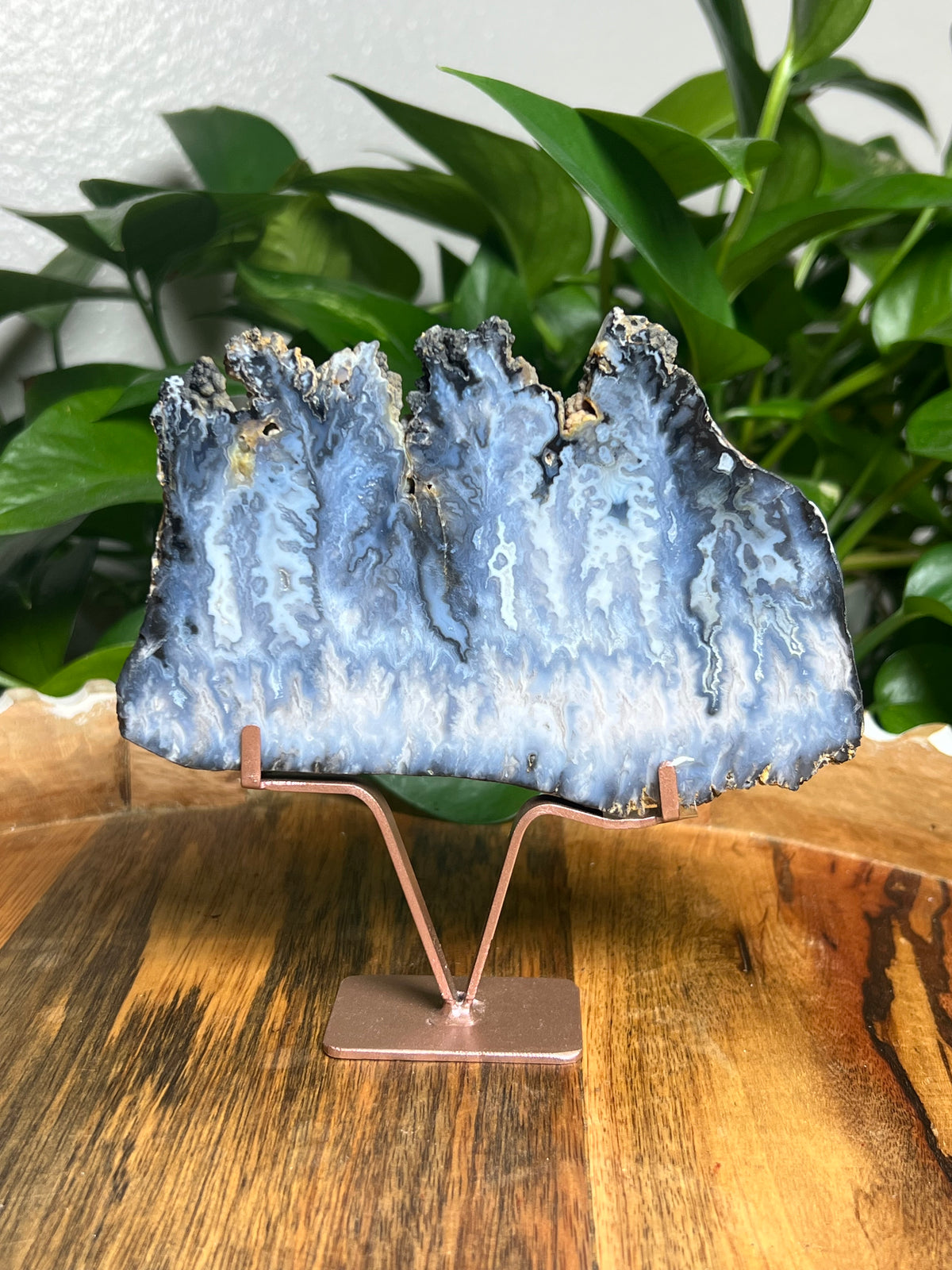 Blue Plume Agate Slab: RK