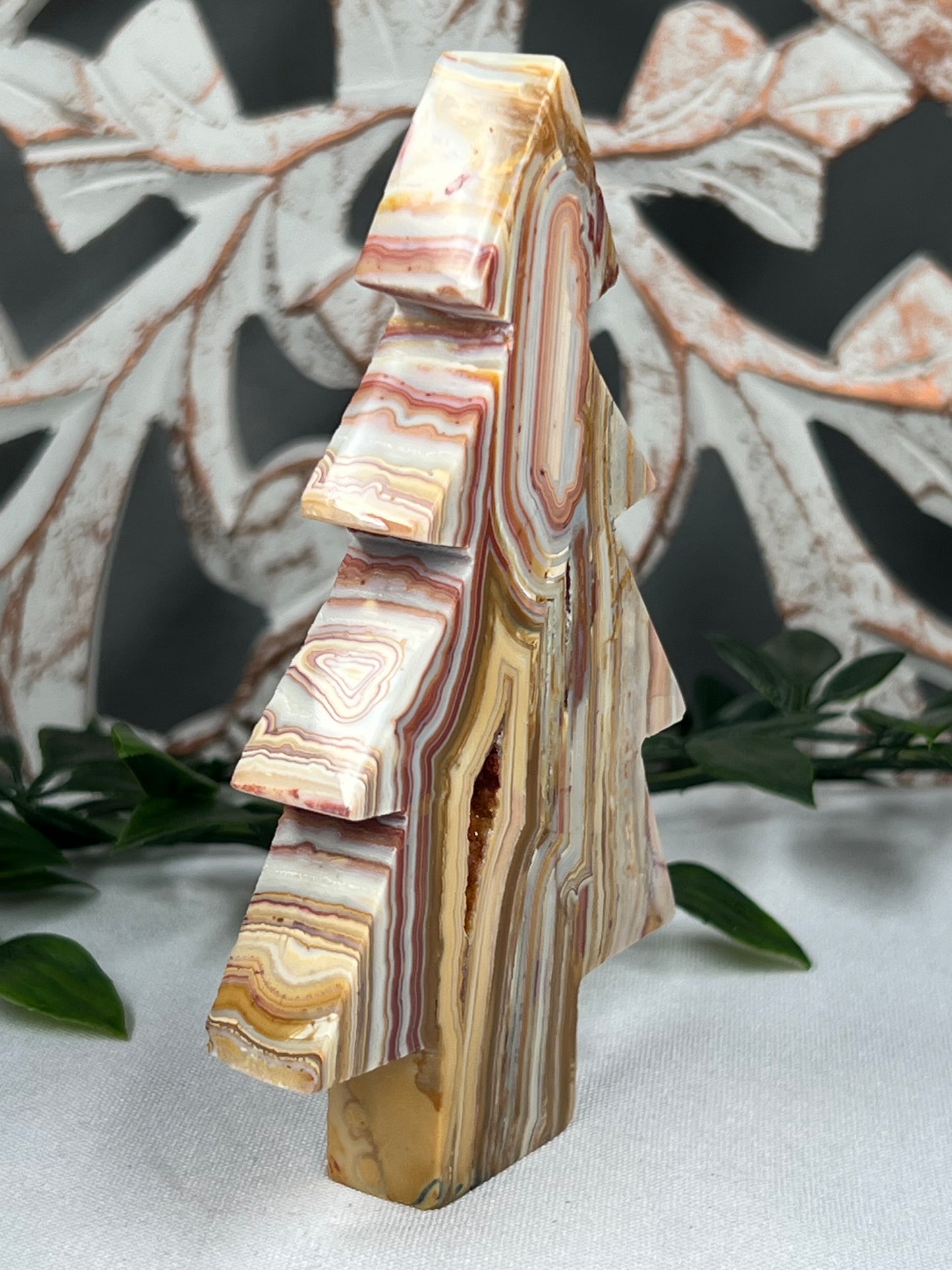 Crazy Lace Agate Tree