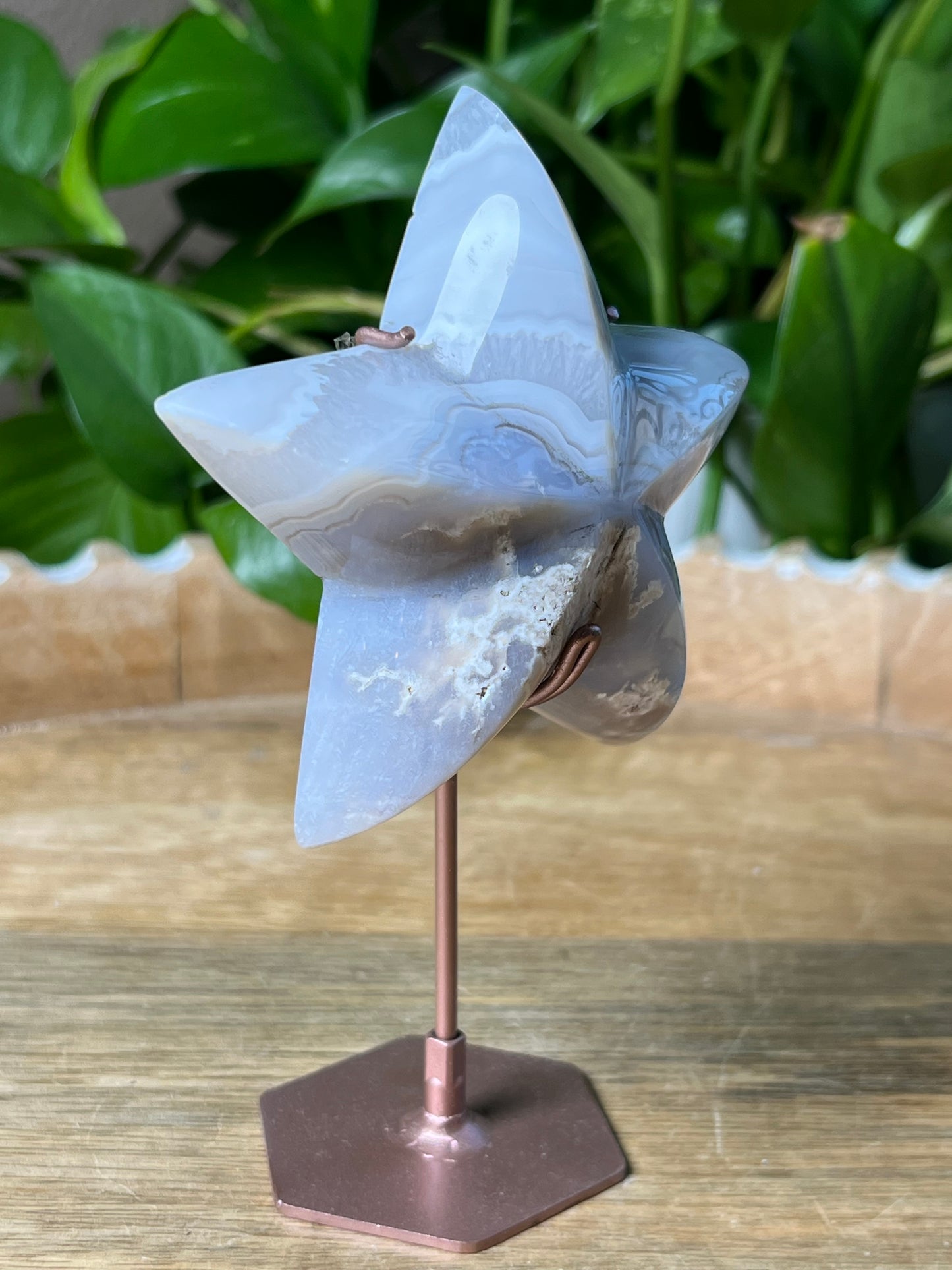 Blue Grey Lace Agate Star