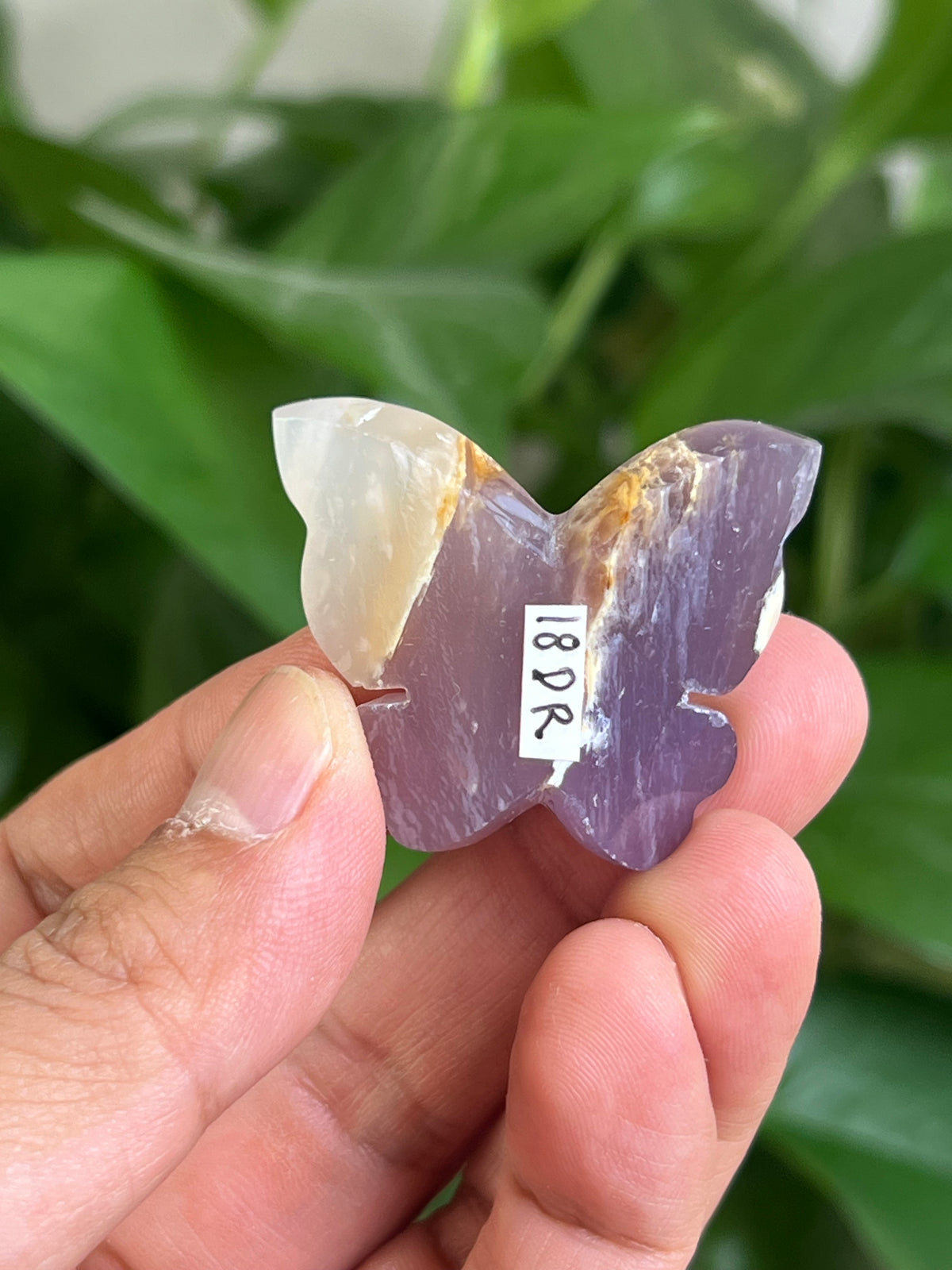 Purple Chalcedony 3D Mini Butterfly: DR