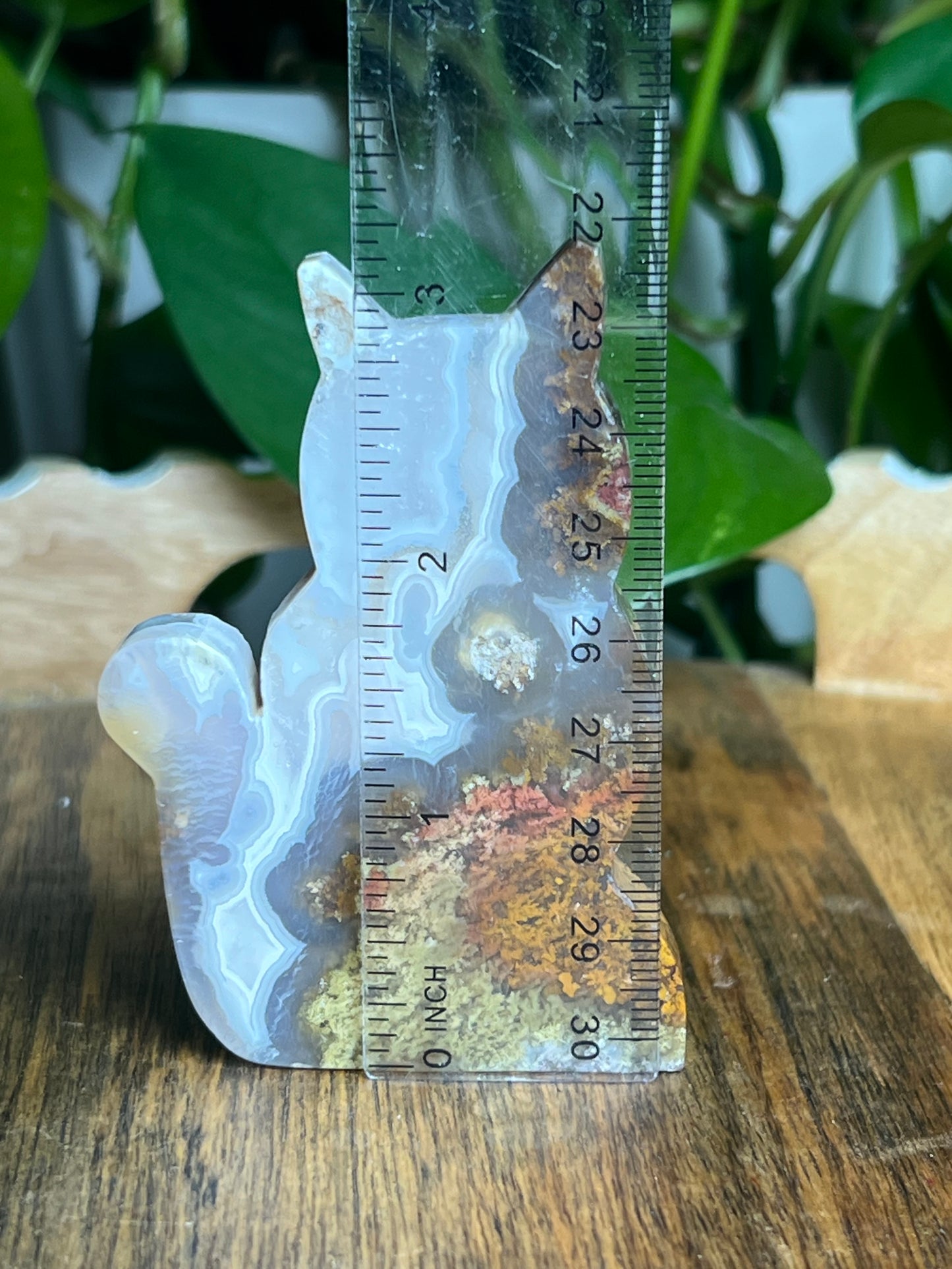 Scenic Moss Agate Cat: HX