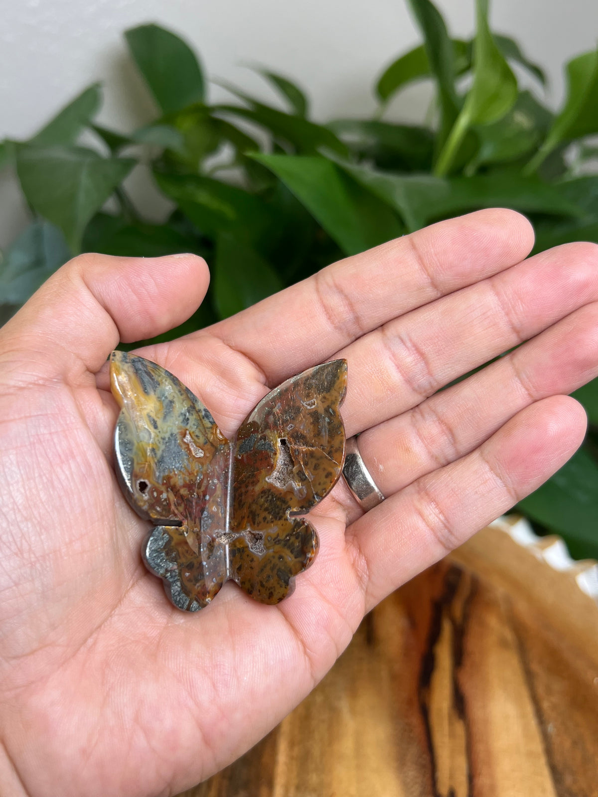 Marcasite 3D Butterfly: MC