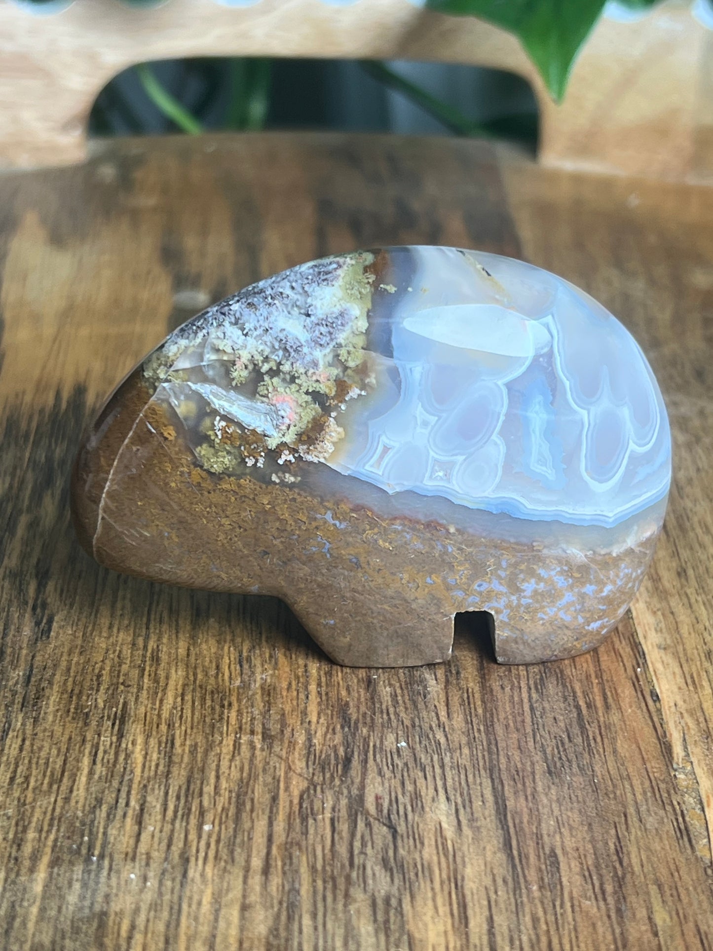 Scenic Moss Agate Bear Bi