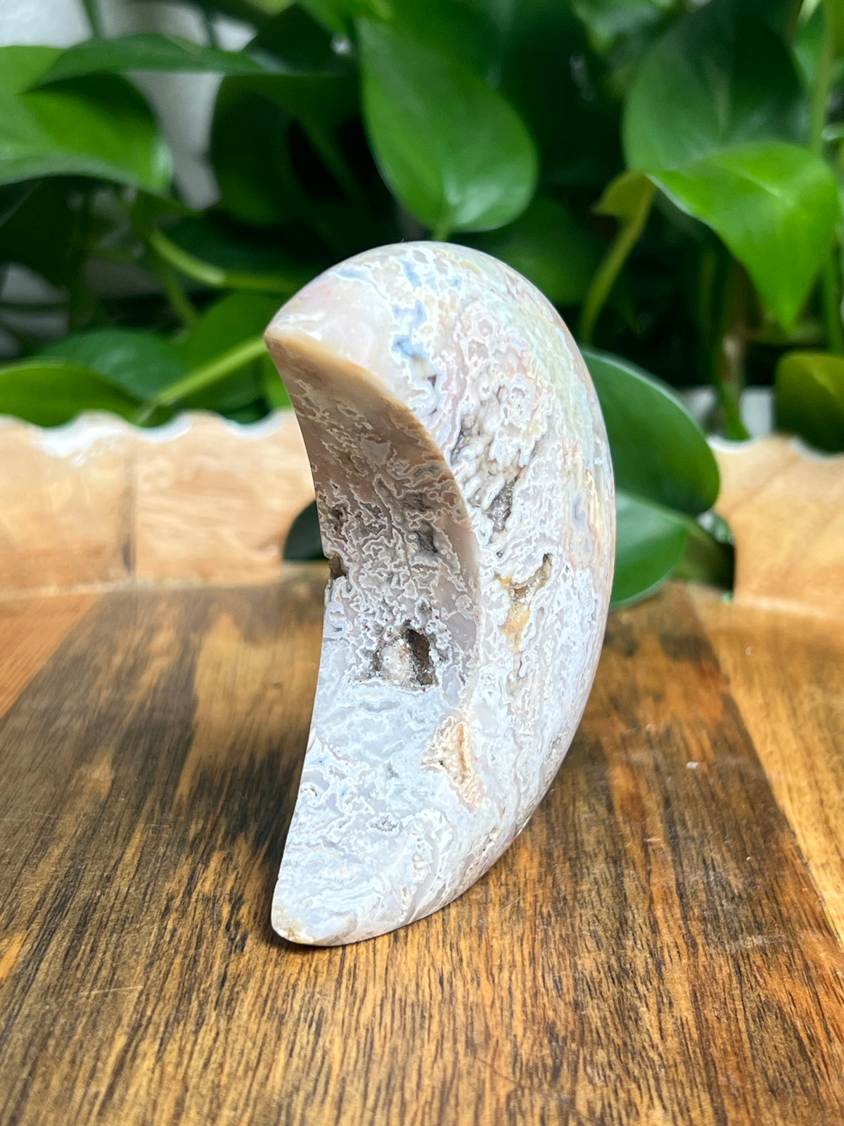 Sumatra Plume Agate Self-Standing Moon: SC