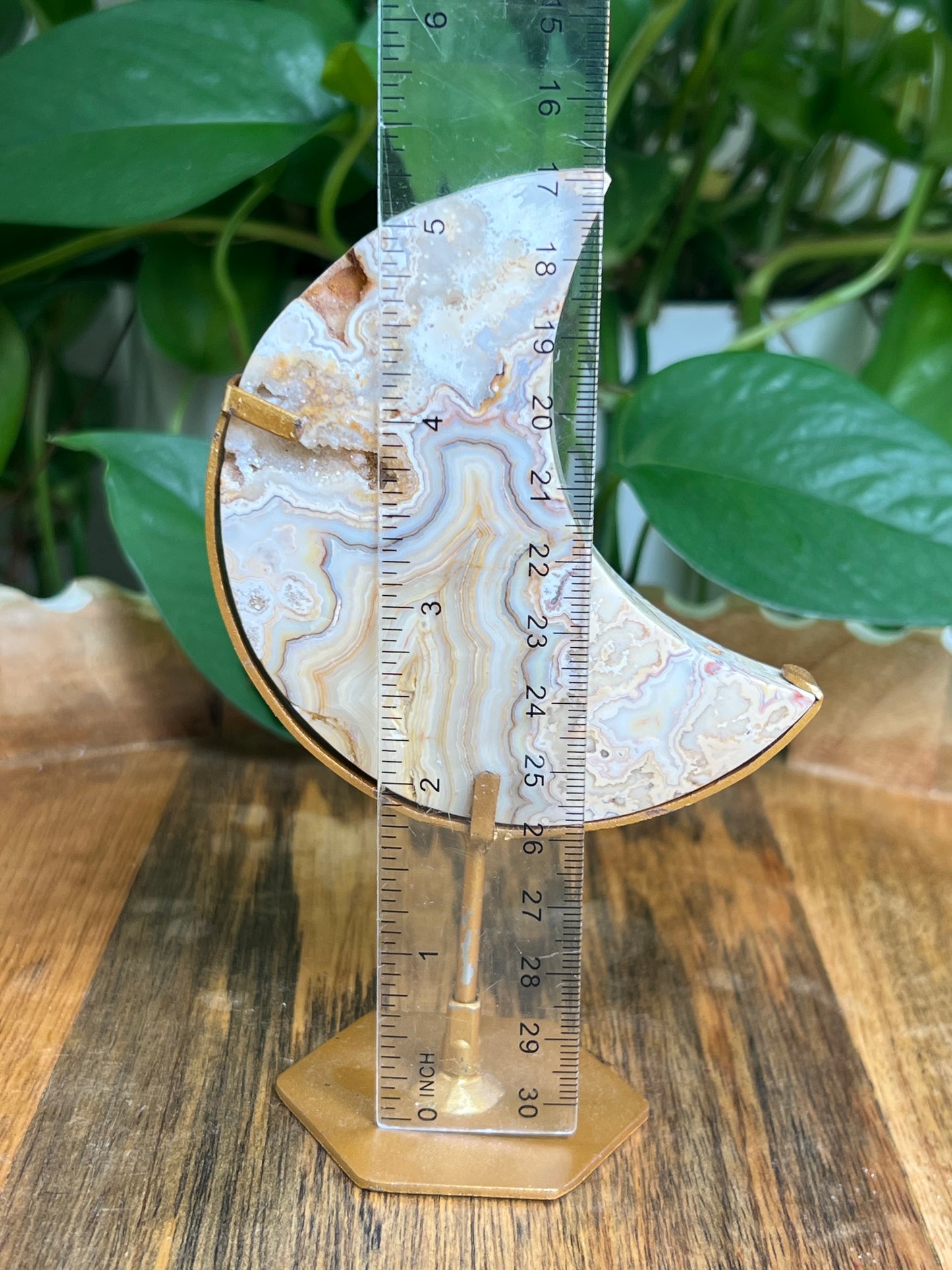 Yellow Crazy Lace Agate Moon: DB