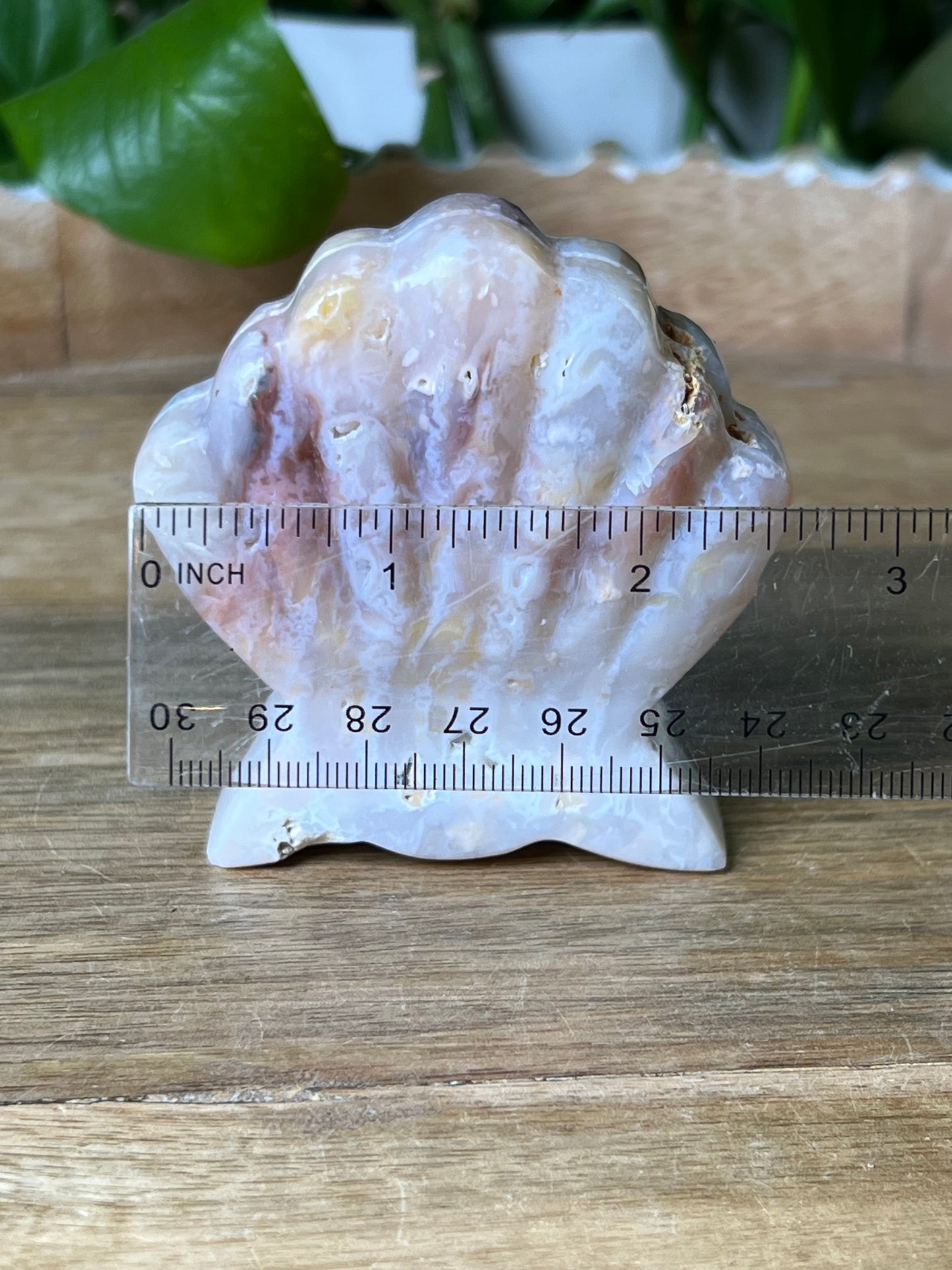 Rainbow Plume Agate Shell