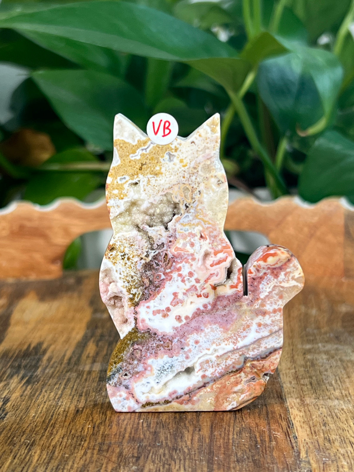 Sea Jasper Cats- Small