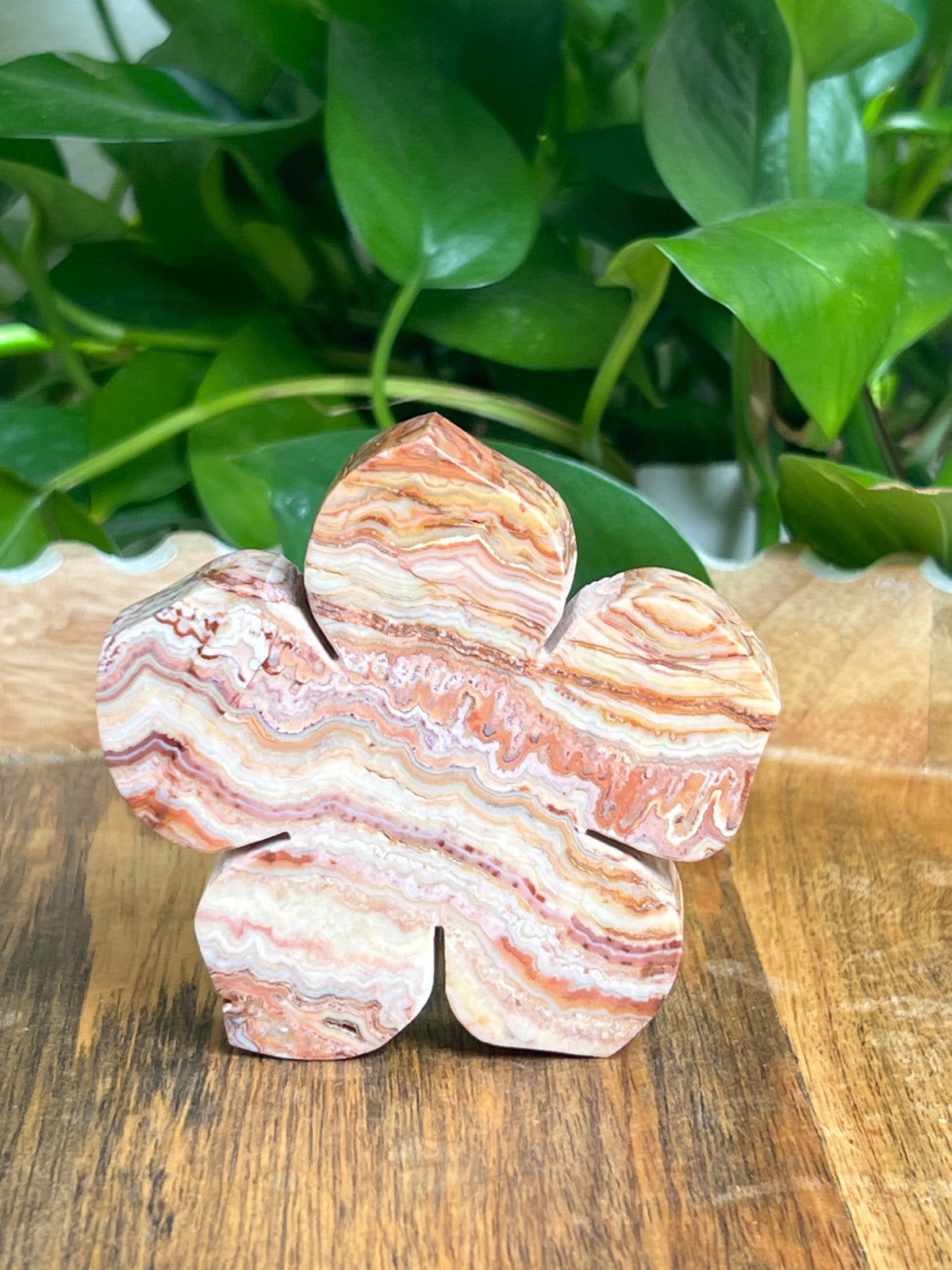Crazy Lace Agate Flower: CB