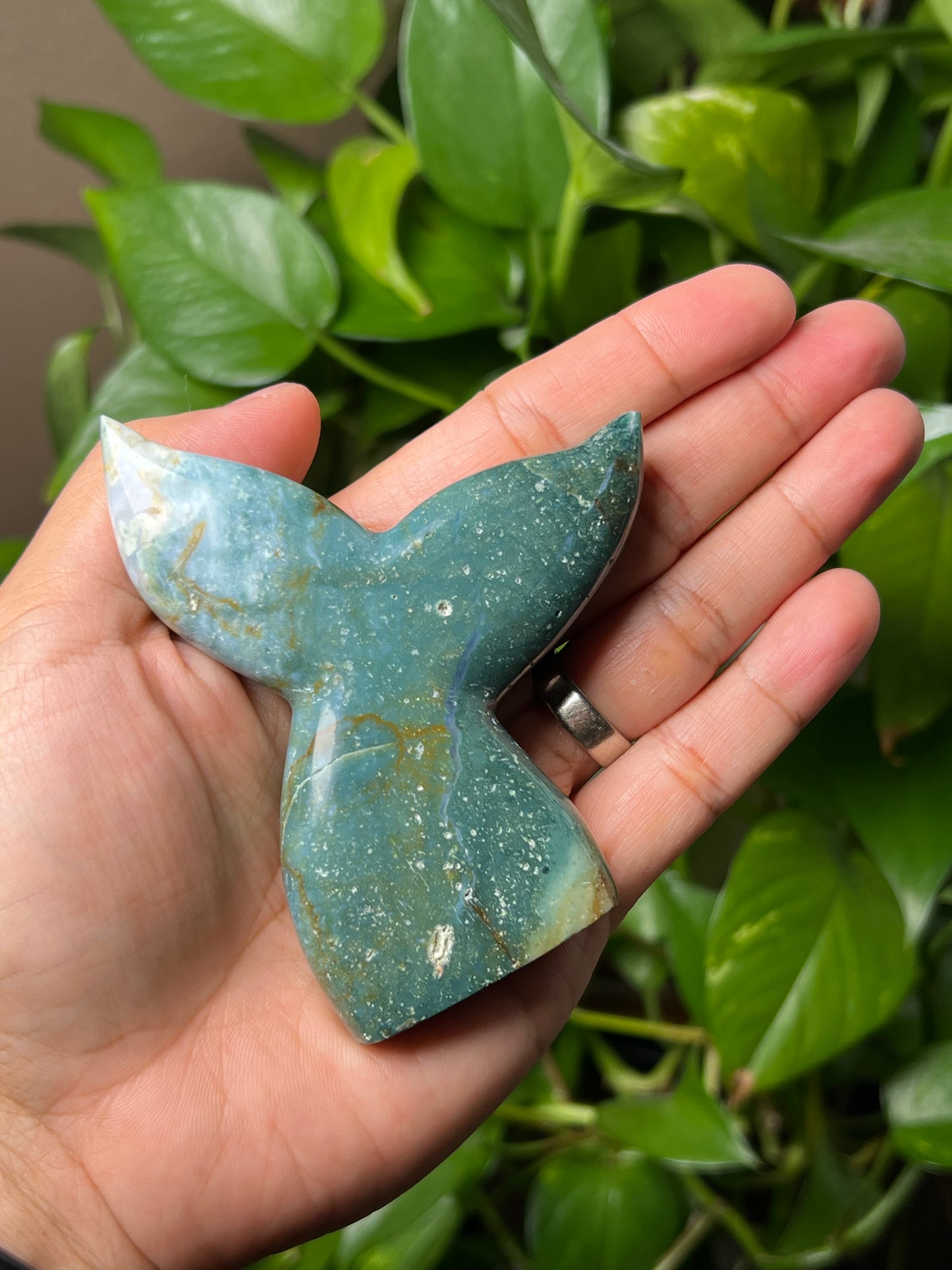 Blue Green Jasper Tail