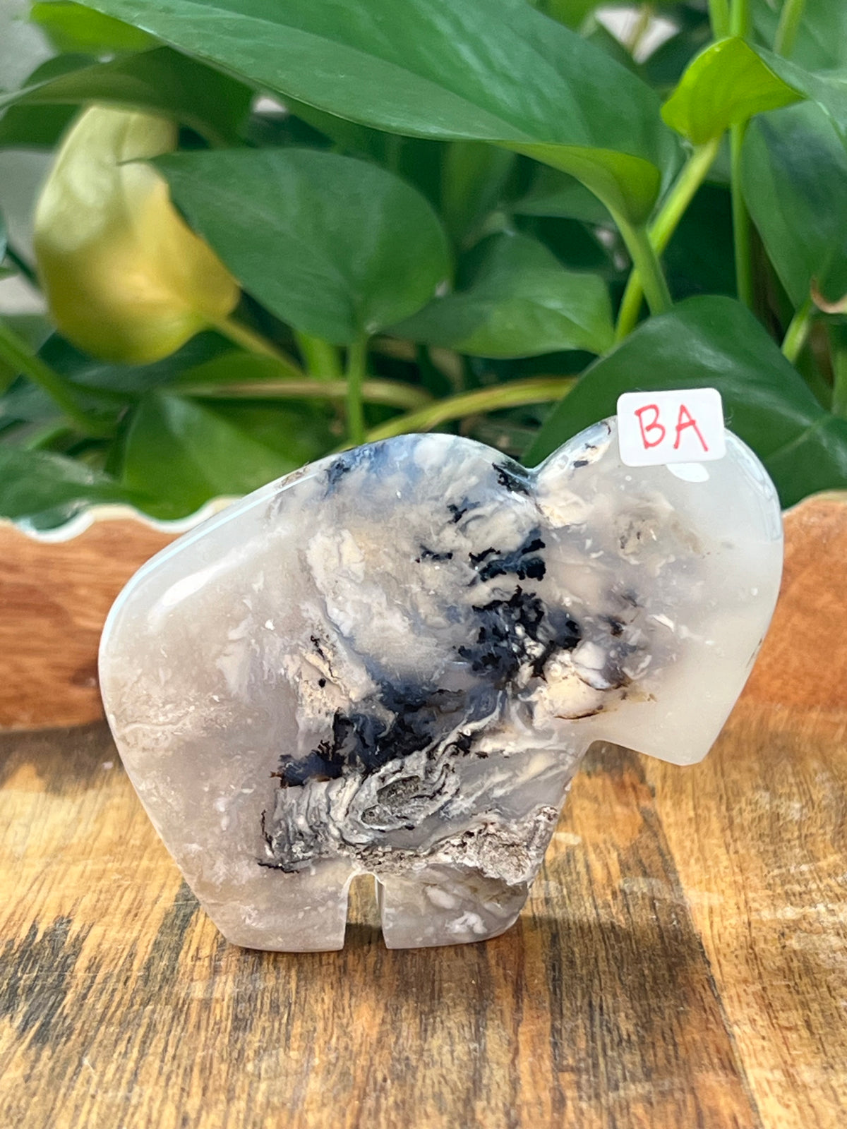 Dendritic Tiger Agate Buffalos