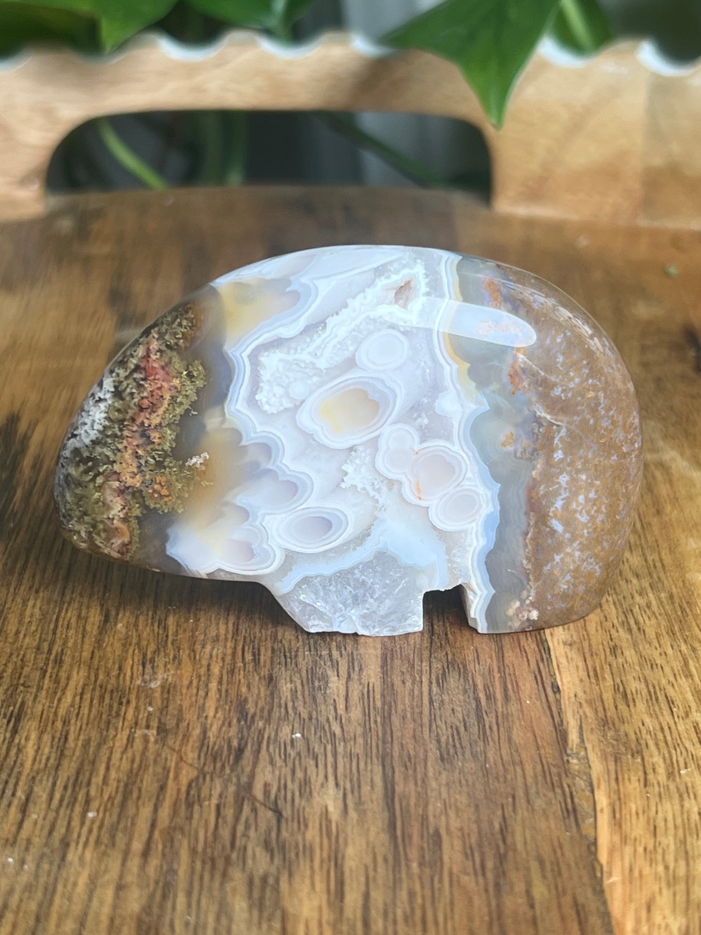 Scenic Moss Agate Bear BC