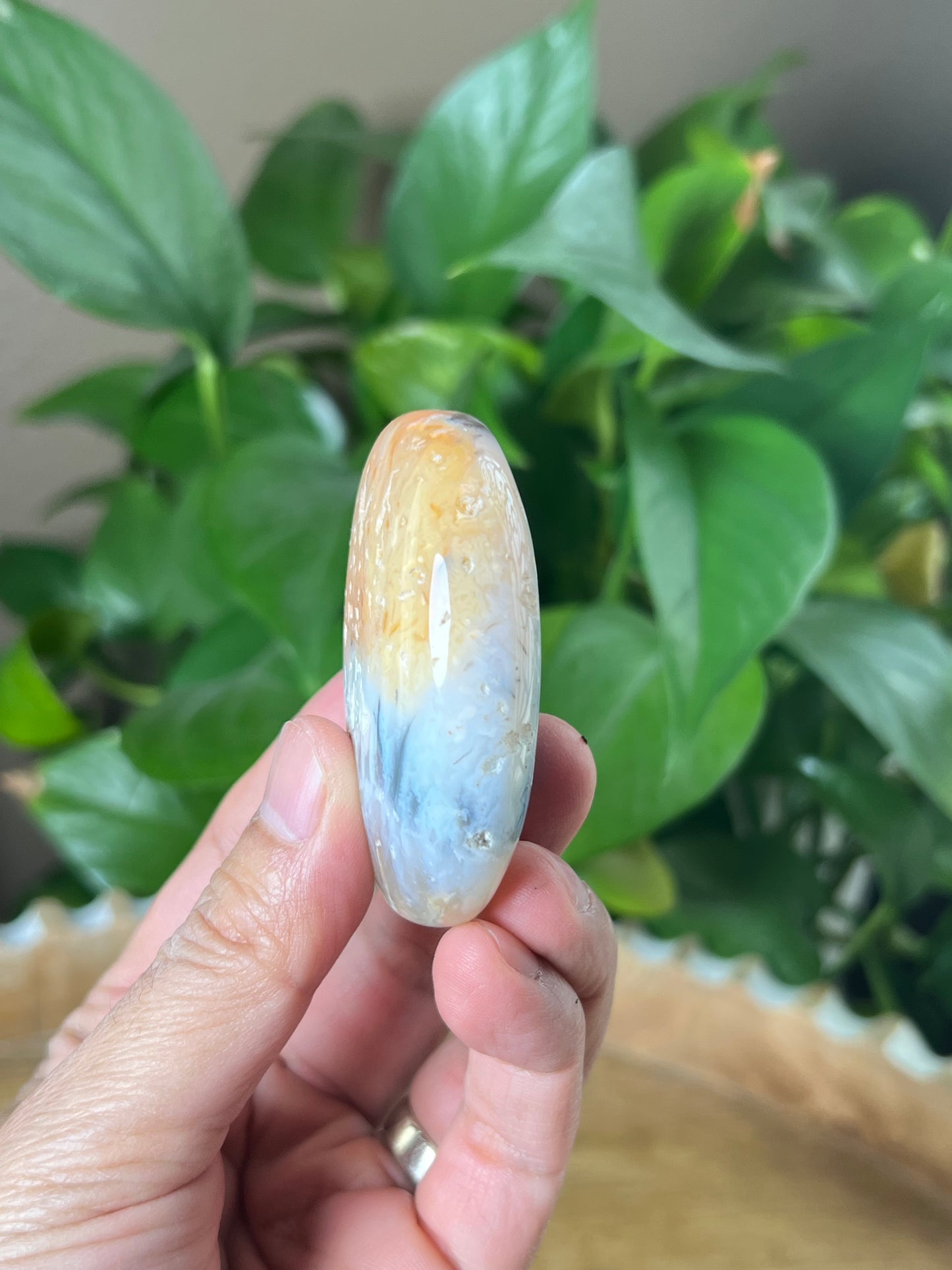 Rainbow Plume Agate Palmstone