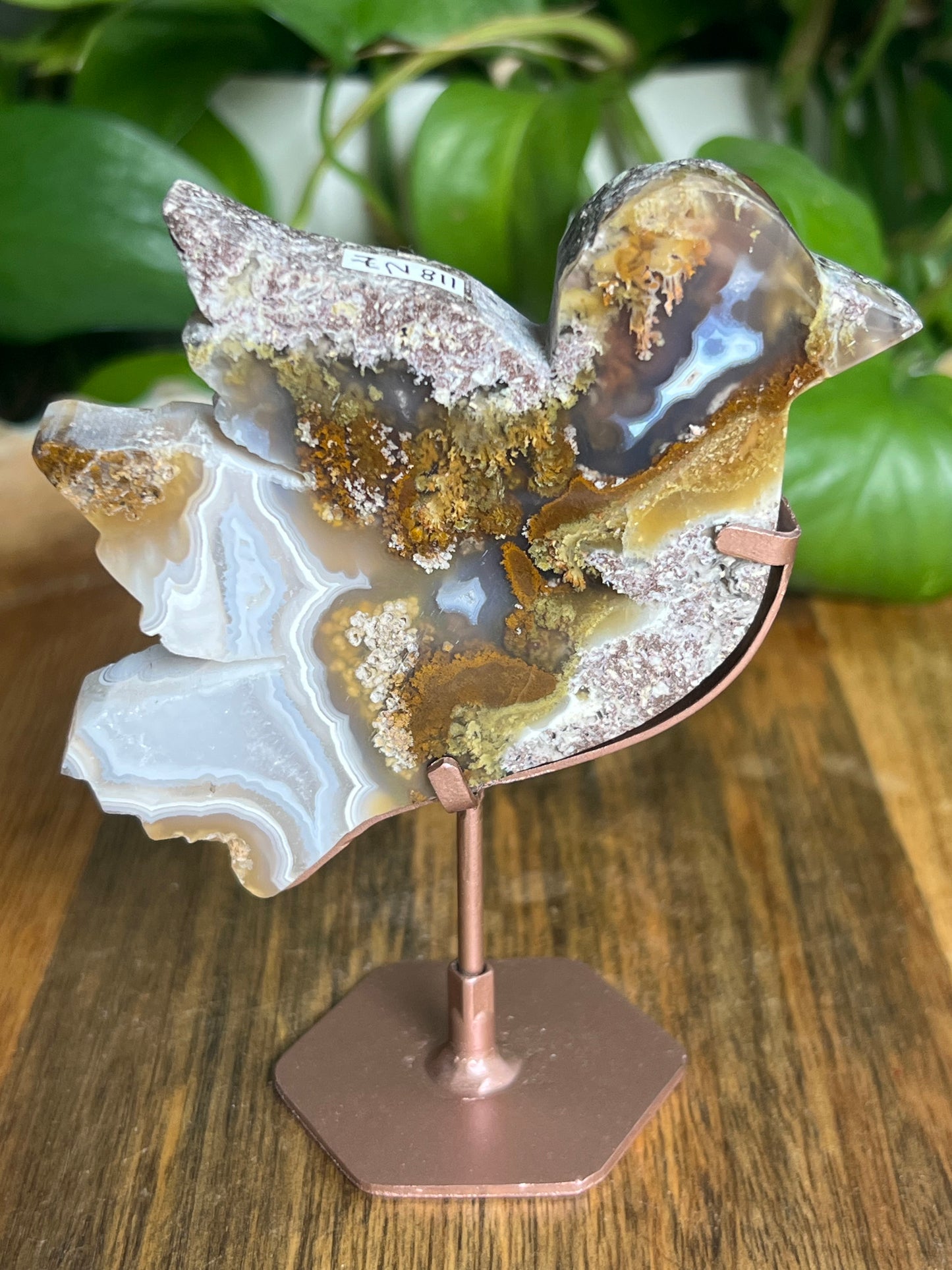 Scenic Moss Agate Bird