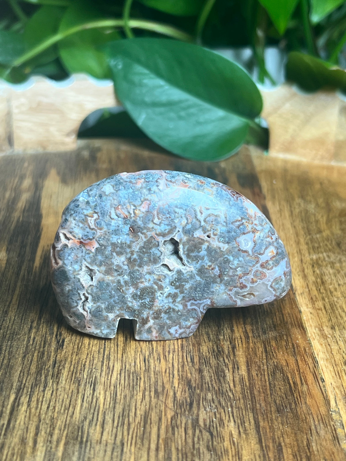 Marcasite Bear: TA