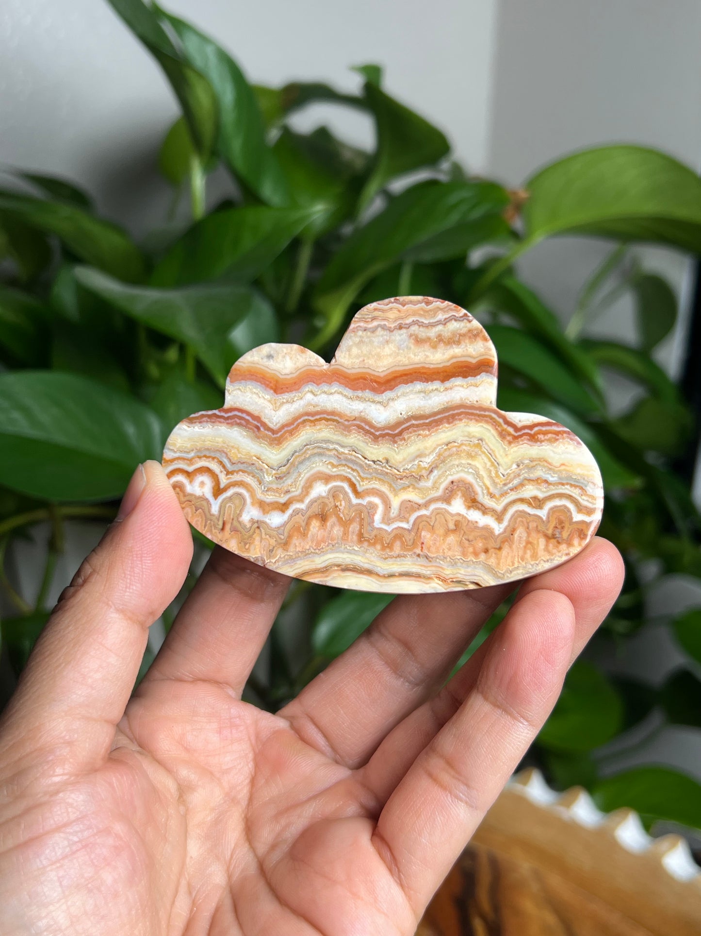 Crazy Lace Agate Cloud: NX