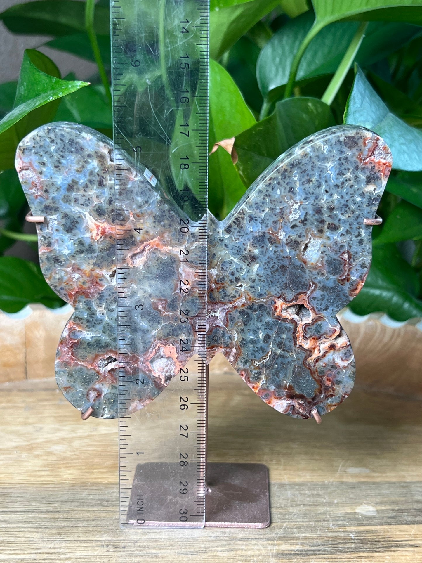 Marcasite Butterfly