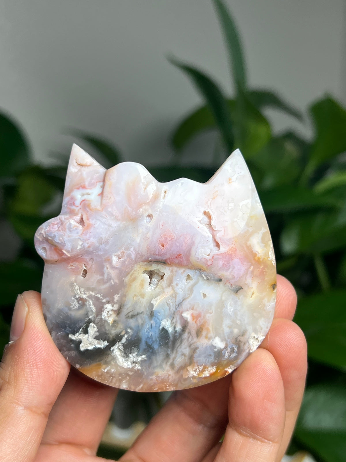 Rainbow Plume Agate Cat: FB