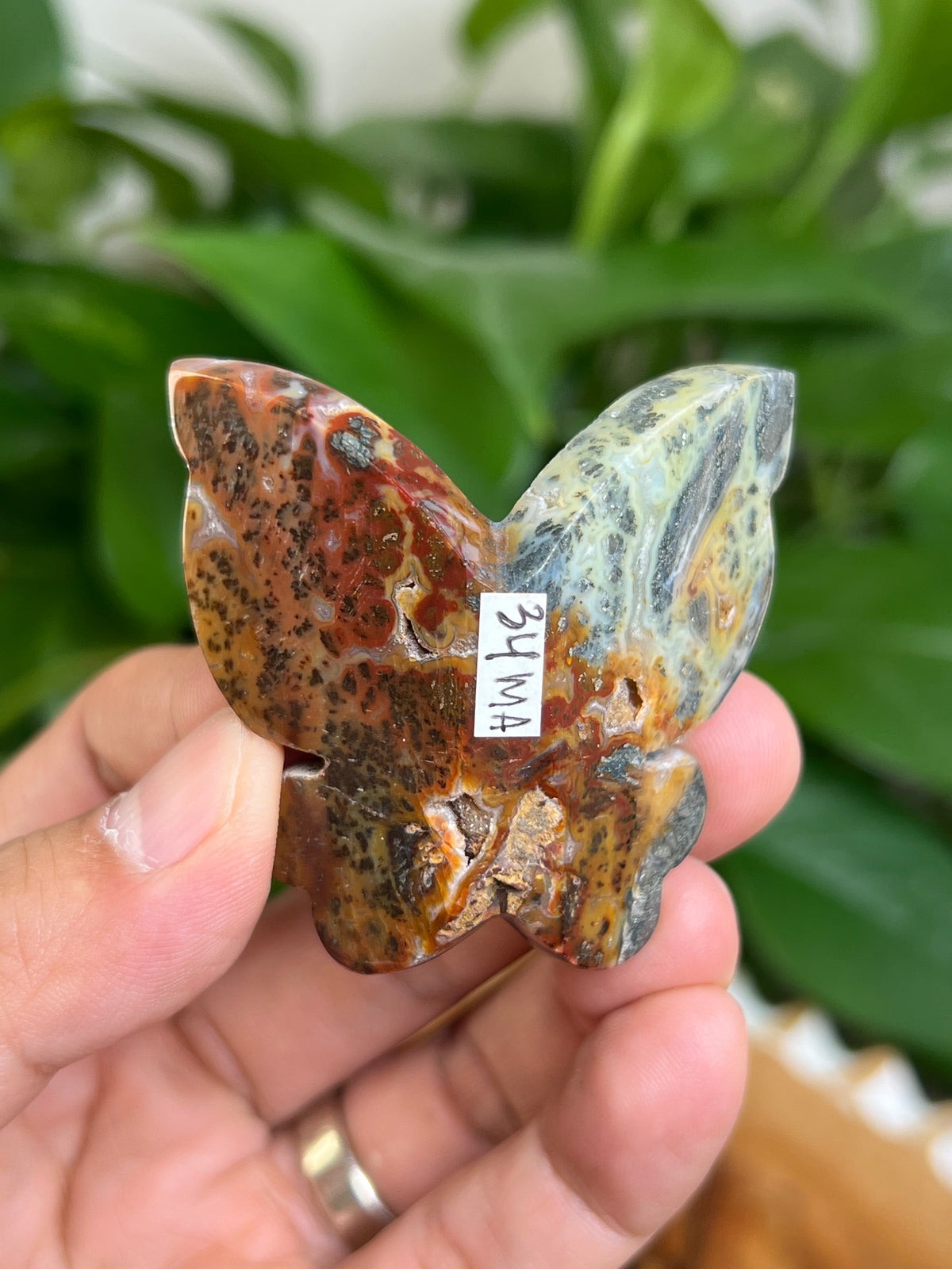 Marcasite 3D Butterfly: MA