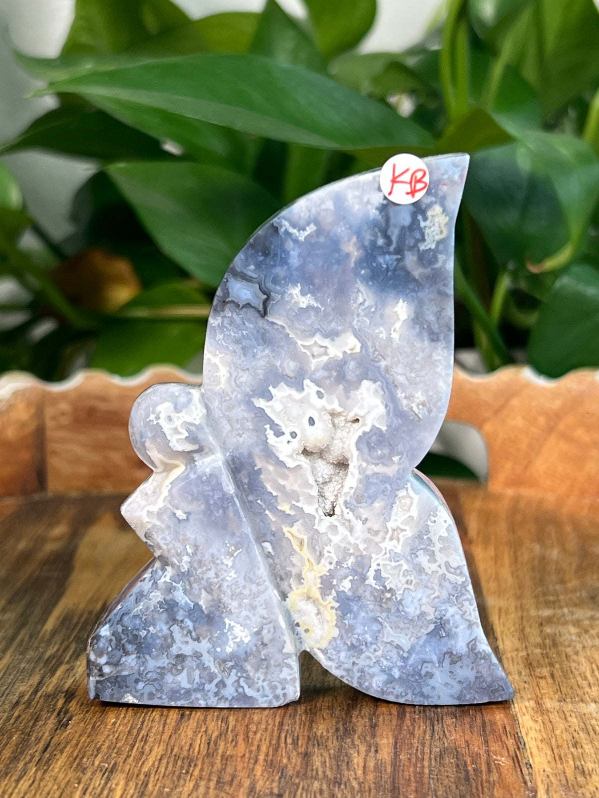 Blue Plume Agate Fairies