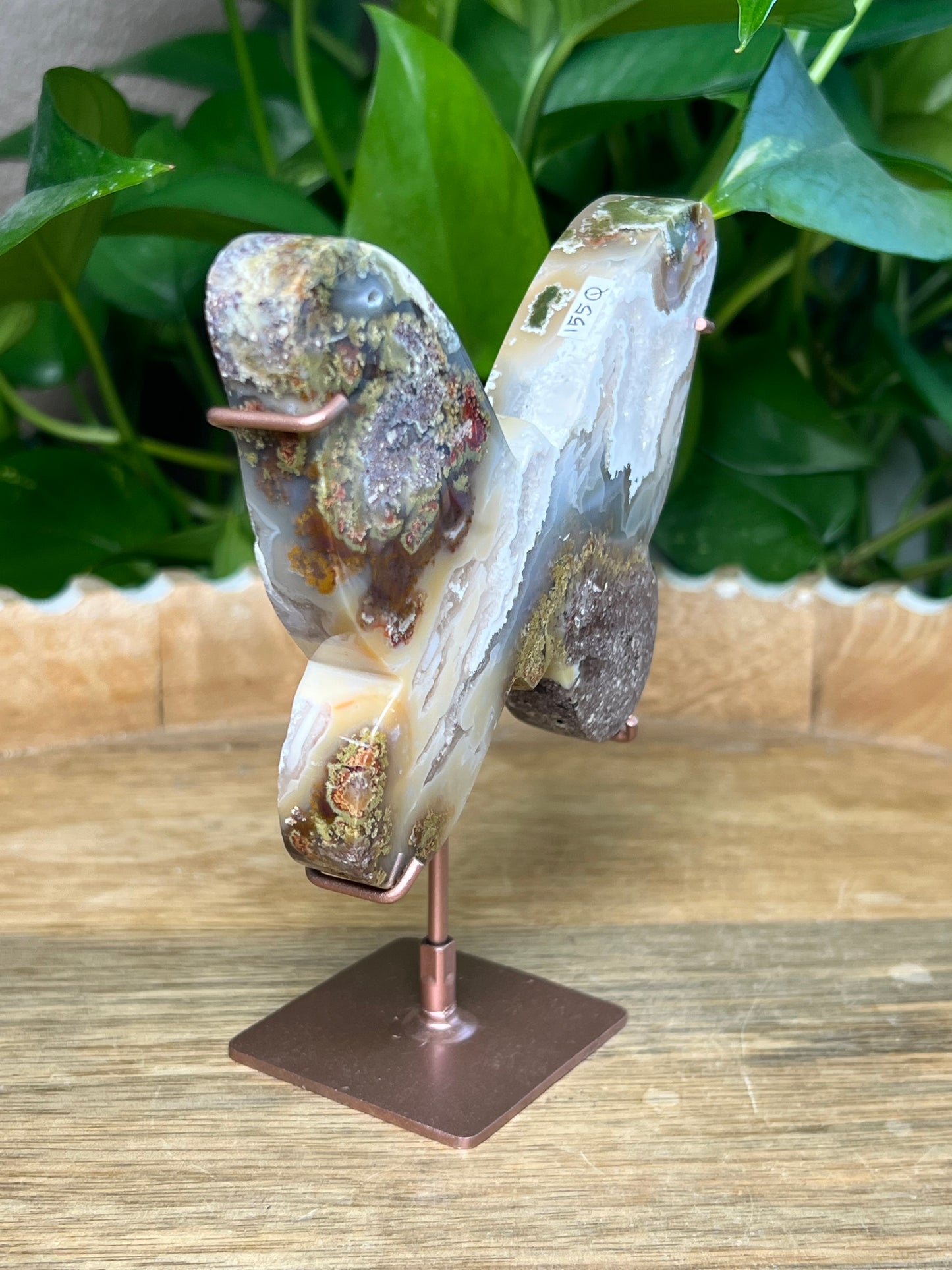 Scenic Moss Agate Butterfly
