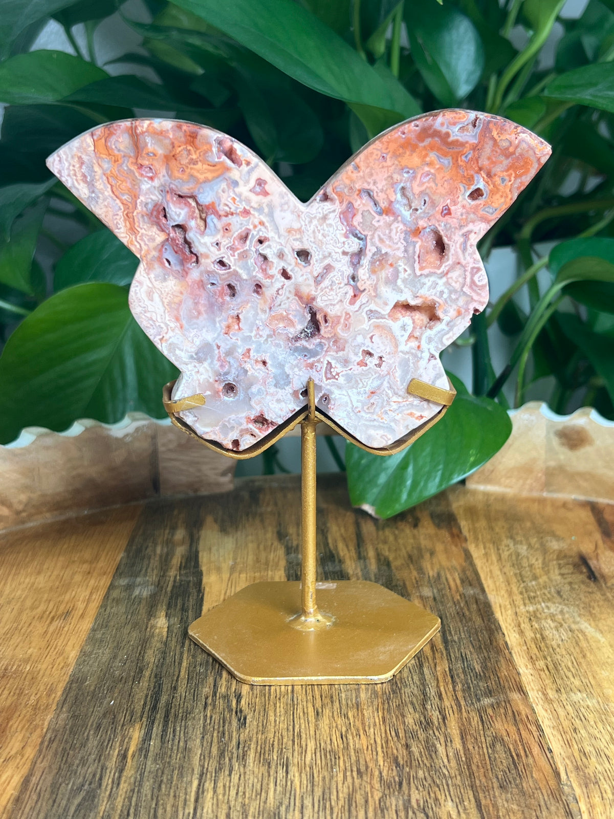 Crazy Lace Agate Butterfly: PE