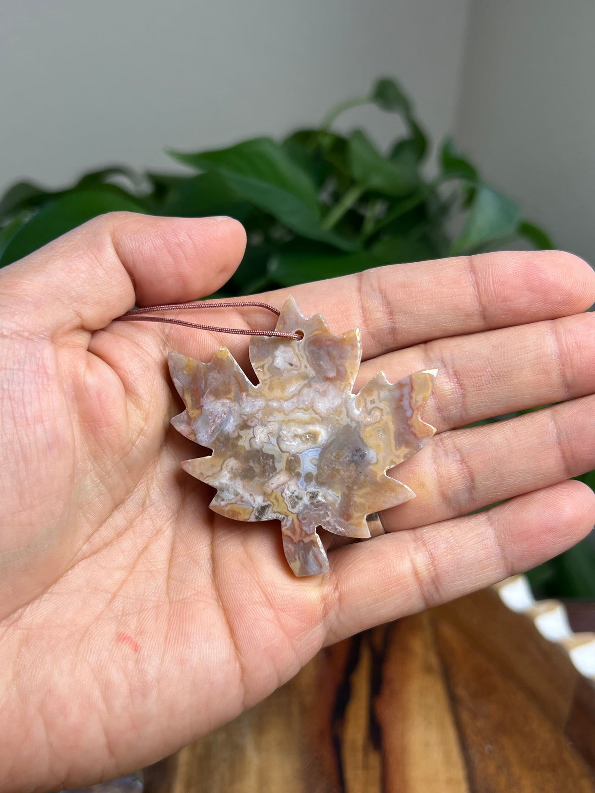 Sumatra Plume Agate Leaf Ornaments