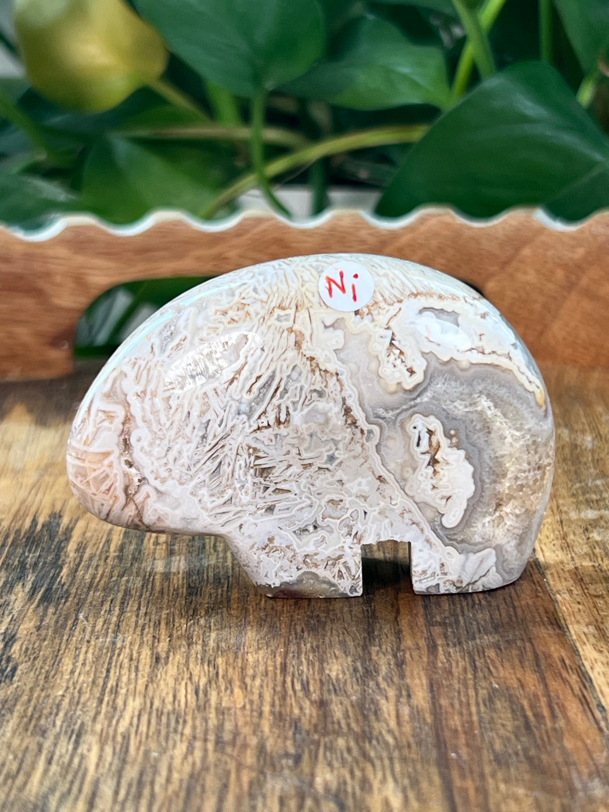Tube Agate Bear: Ni