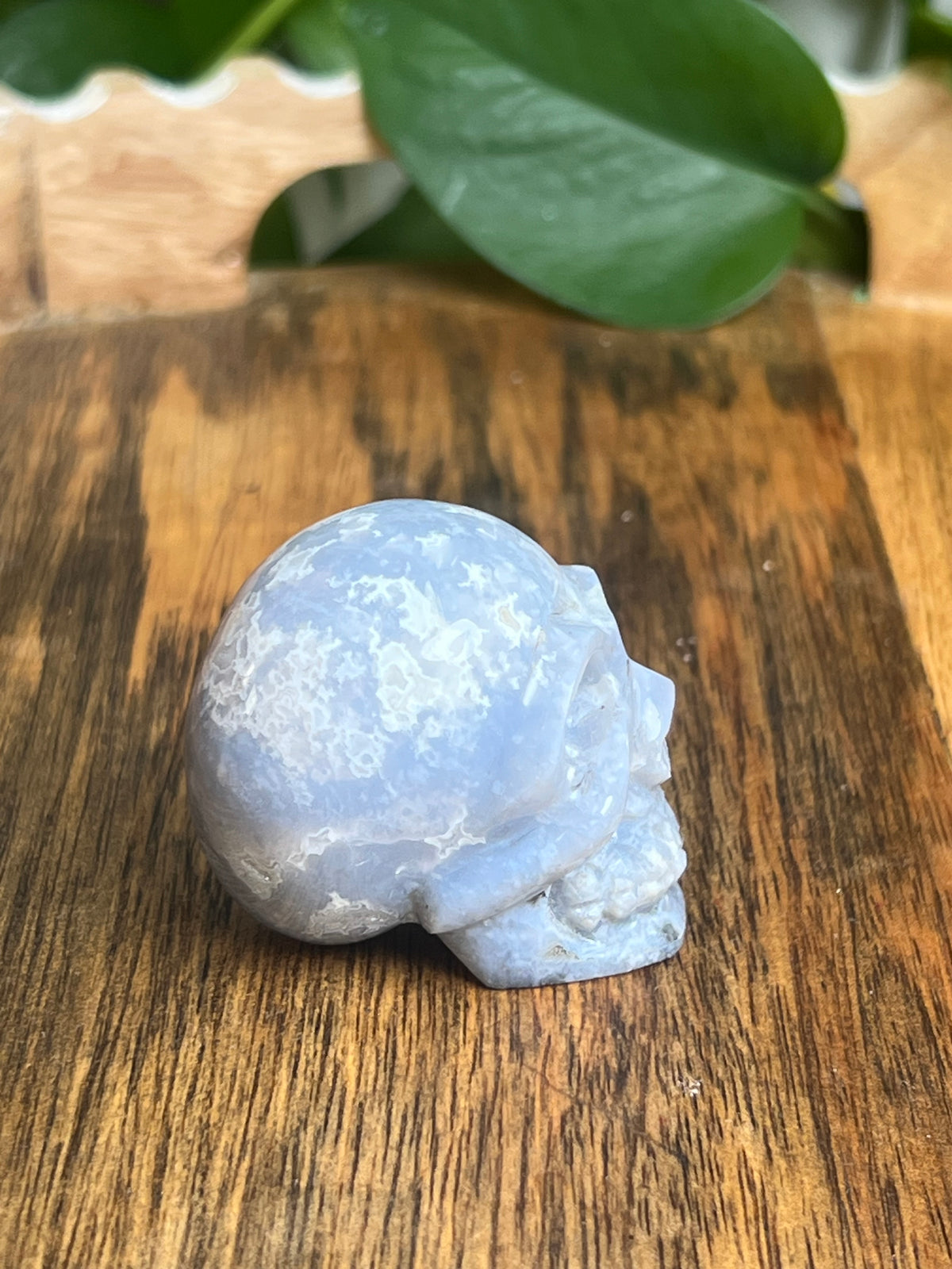 Blue Plume Agate Skull: BA