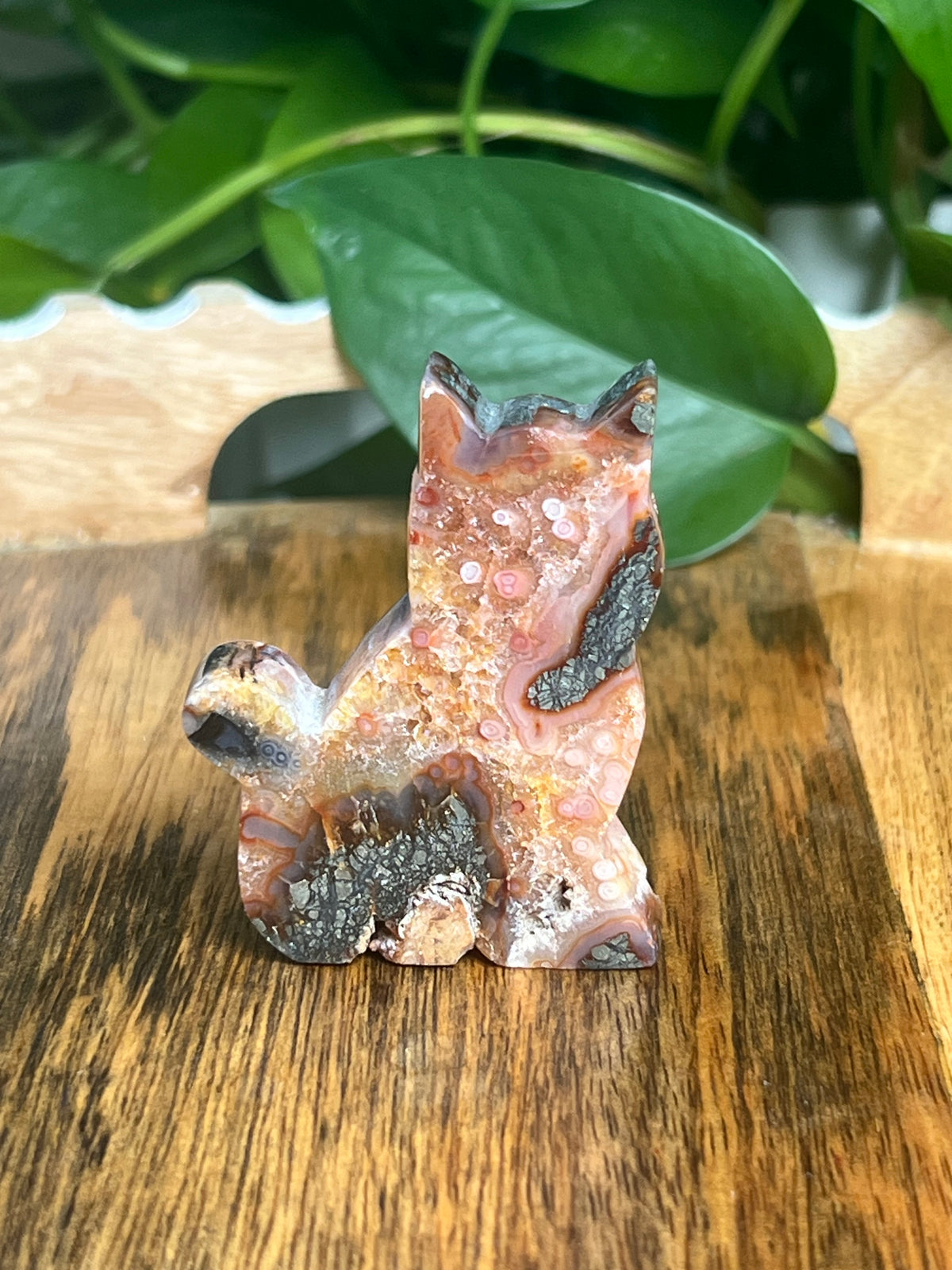 Marcasite Cat: XQ