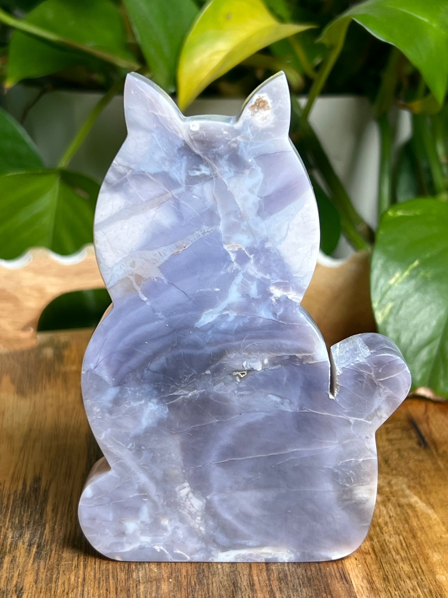 Purple Chalcedony Cat PX