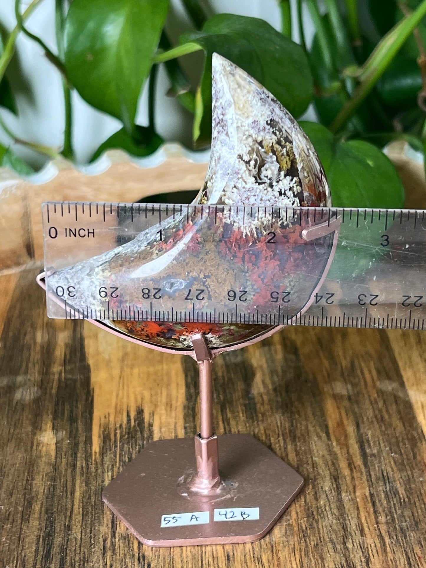 Scenic Moss Agate Moon