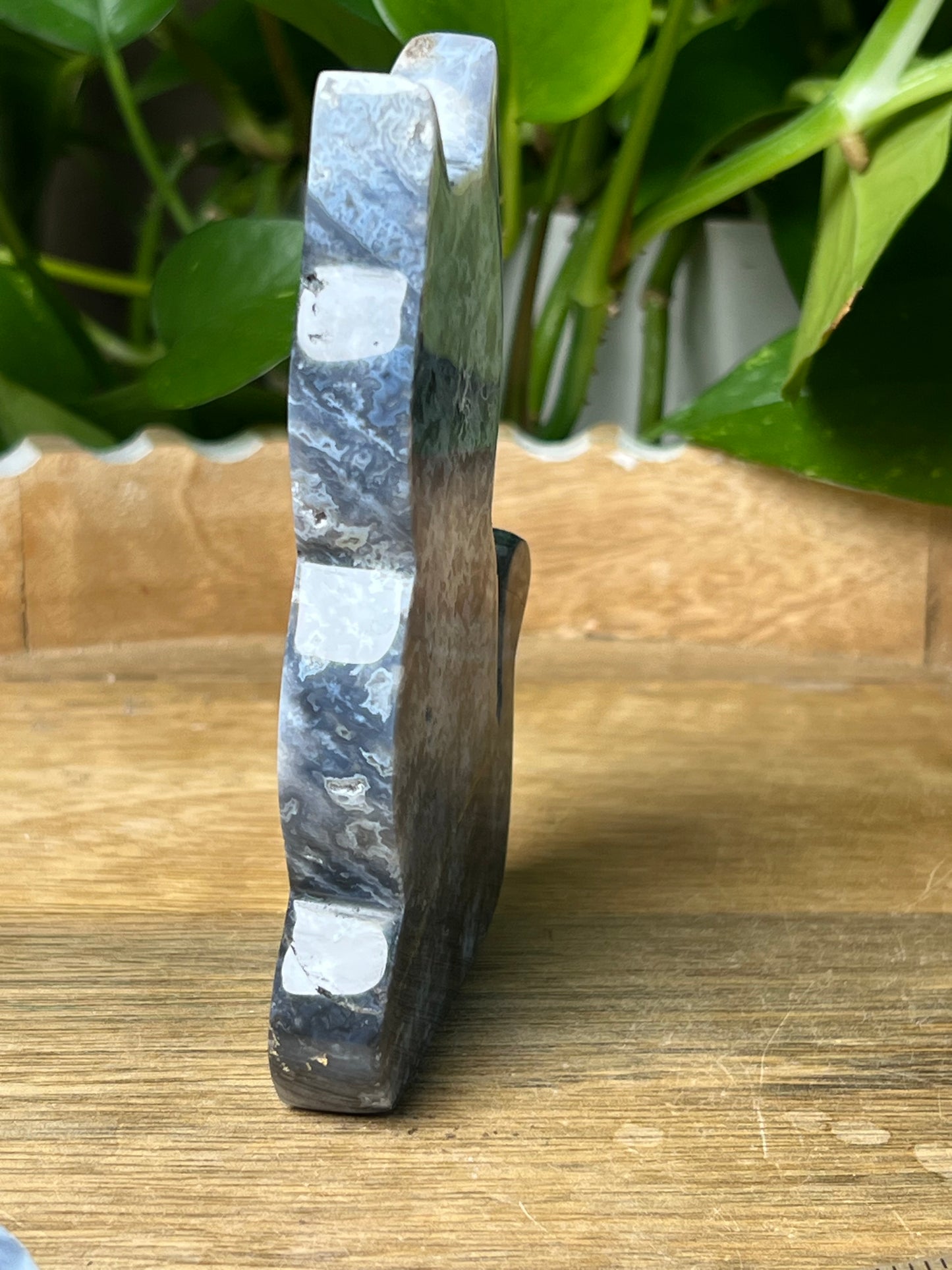 Blue Plume Agate Cat