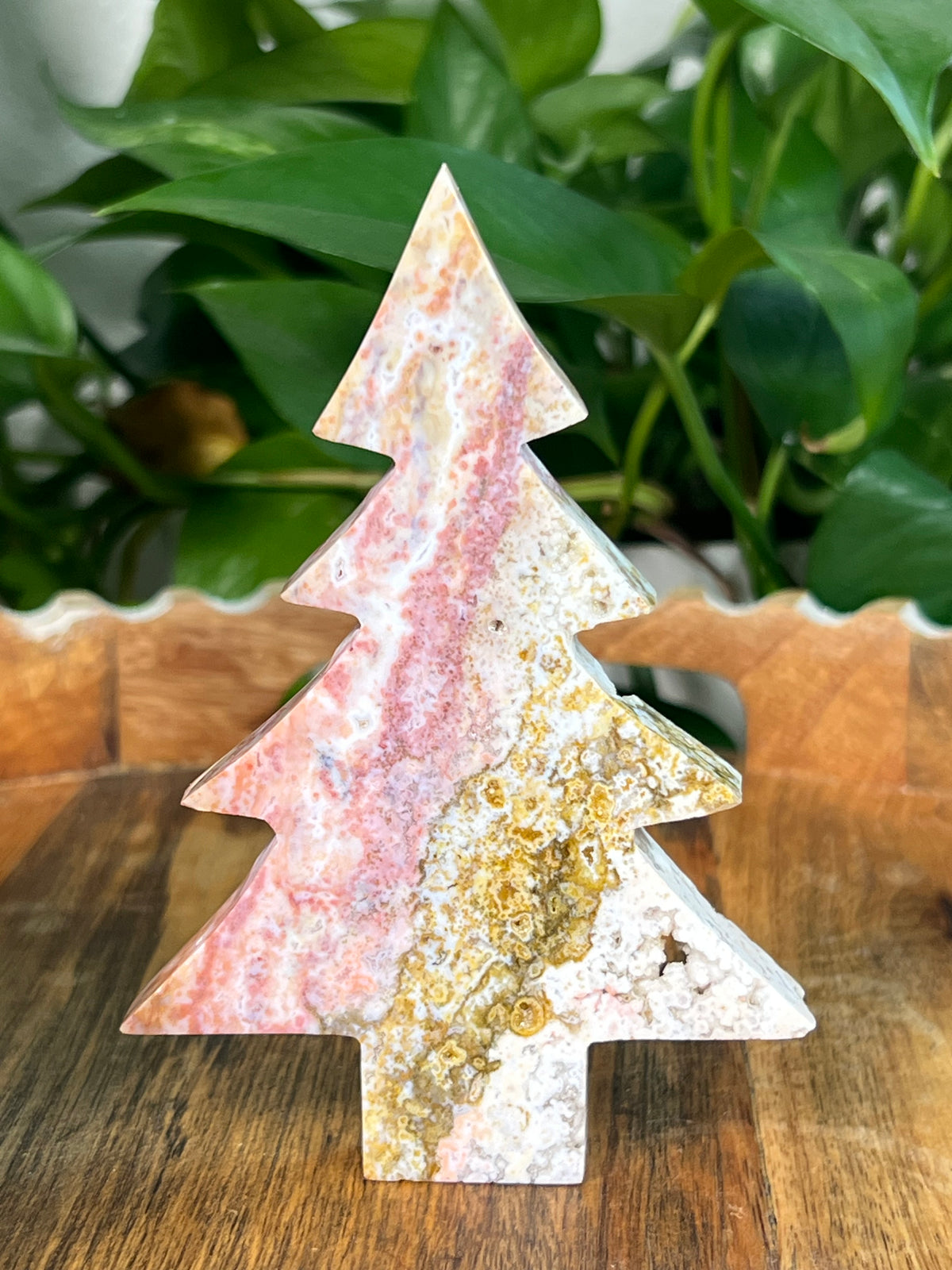 Sea Jasper Tree: AC