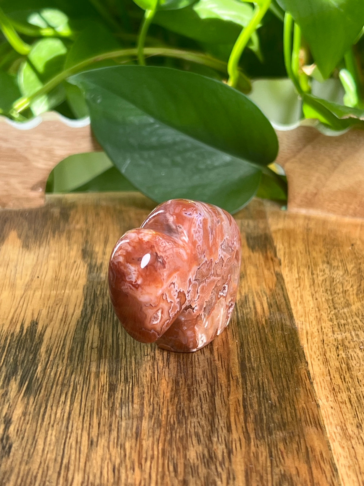 Carnelian Mini Buffalo: BA