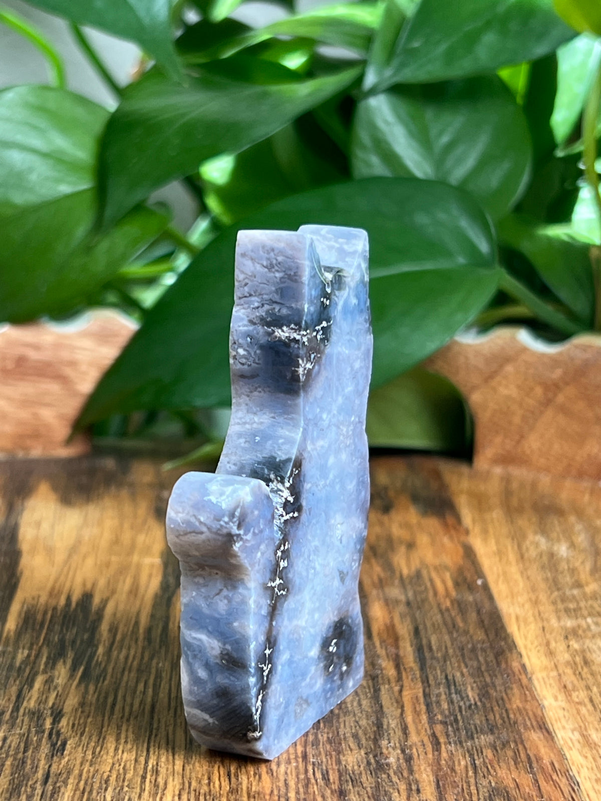 Blue Plume Agate Cat: BH
