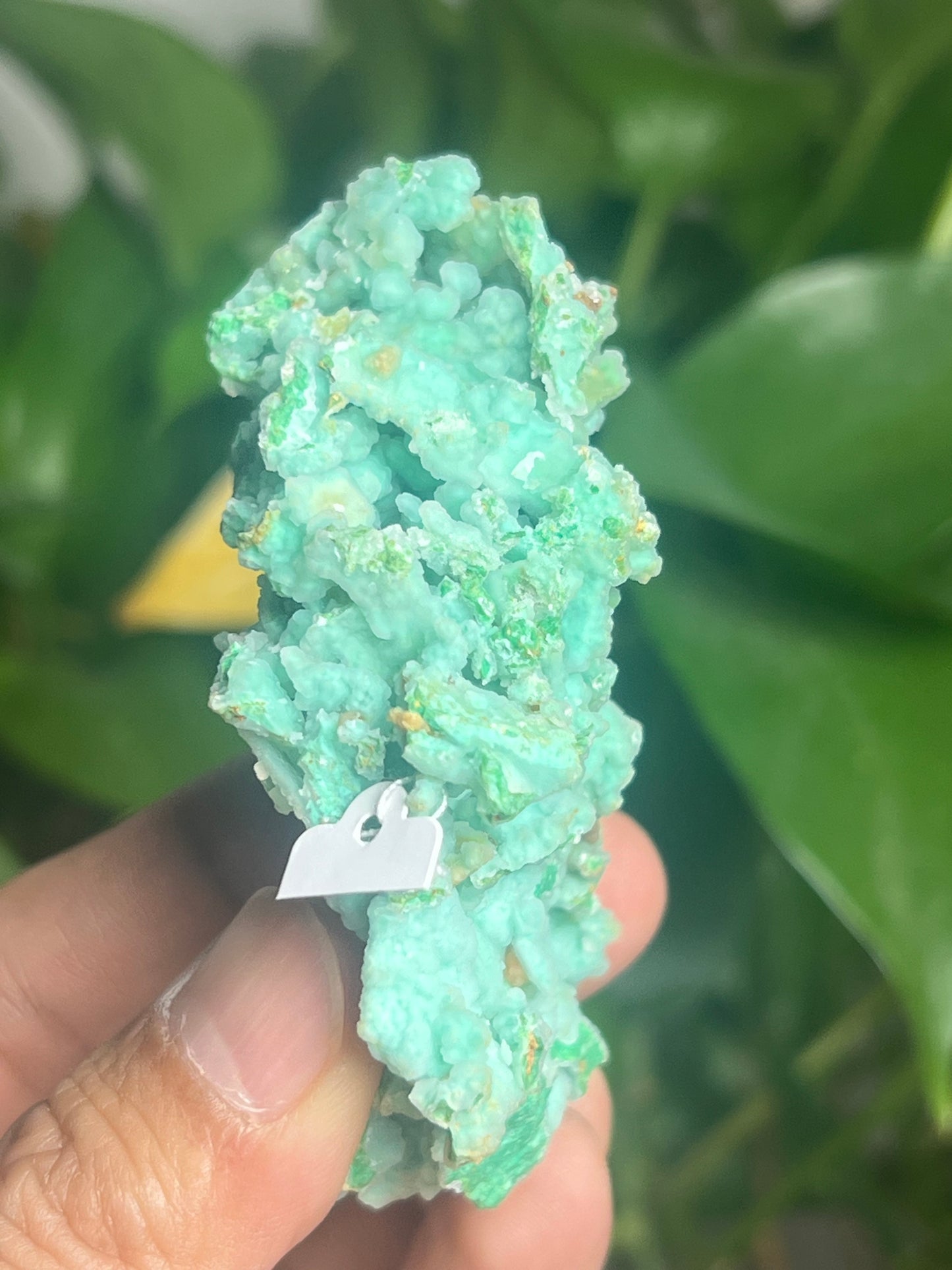 Smithsonite Specimen HS