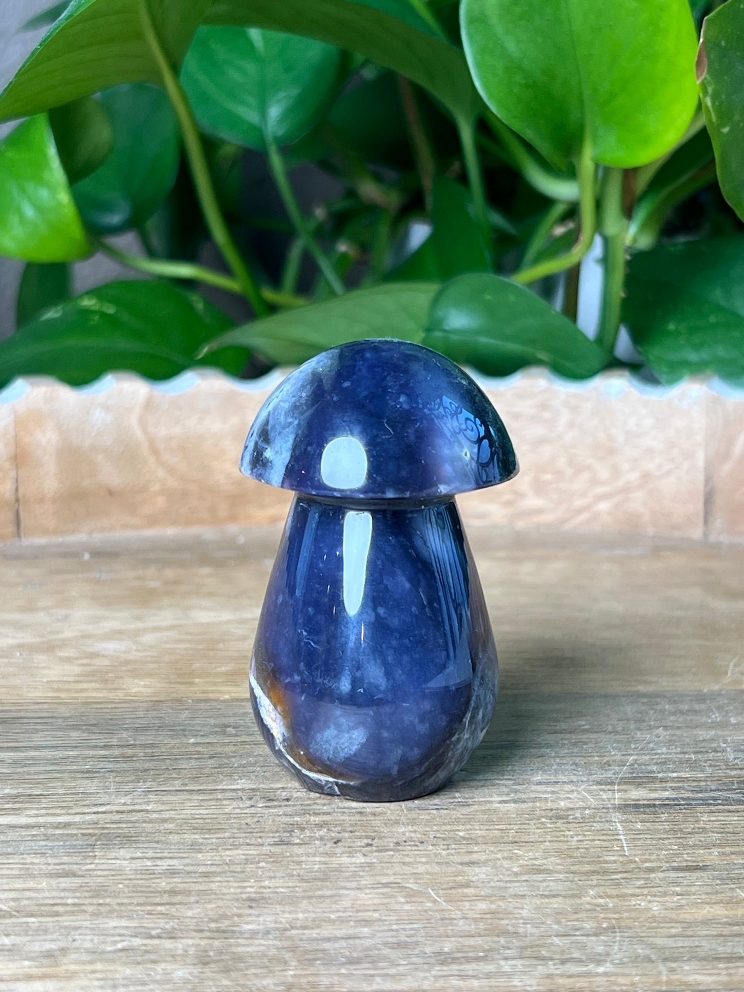 Purple Chalcedony Mushroom: BI