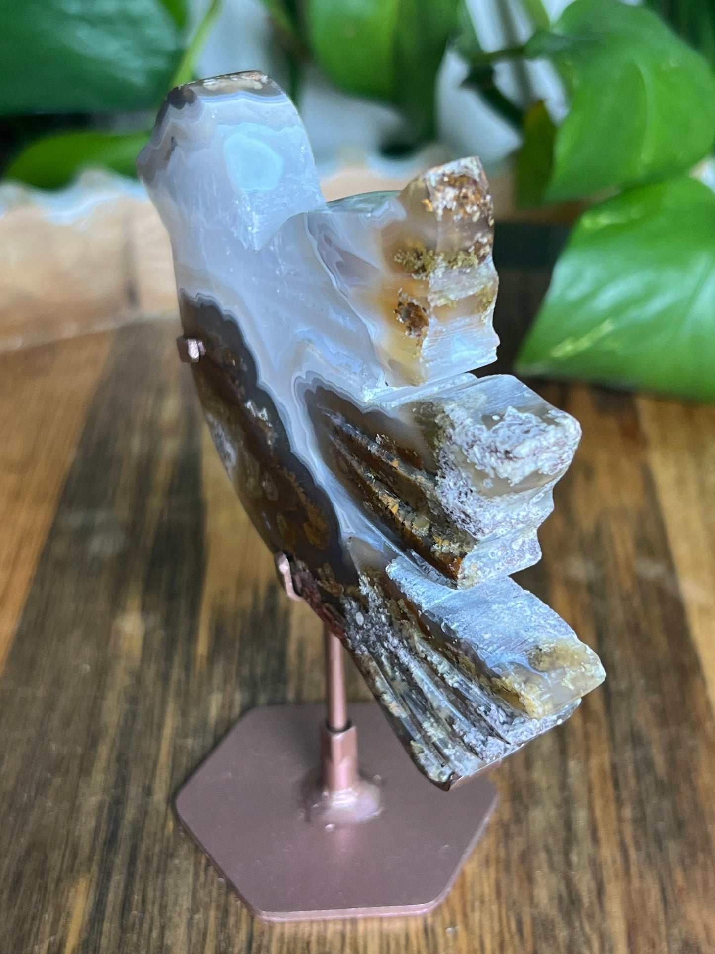 Scenic Moss Agate Bird