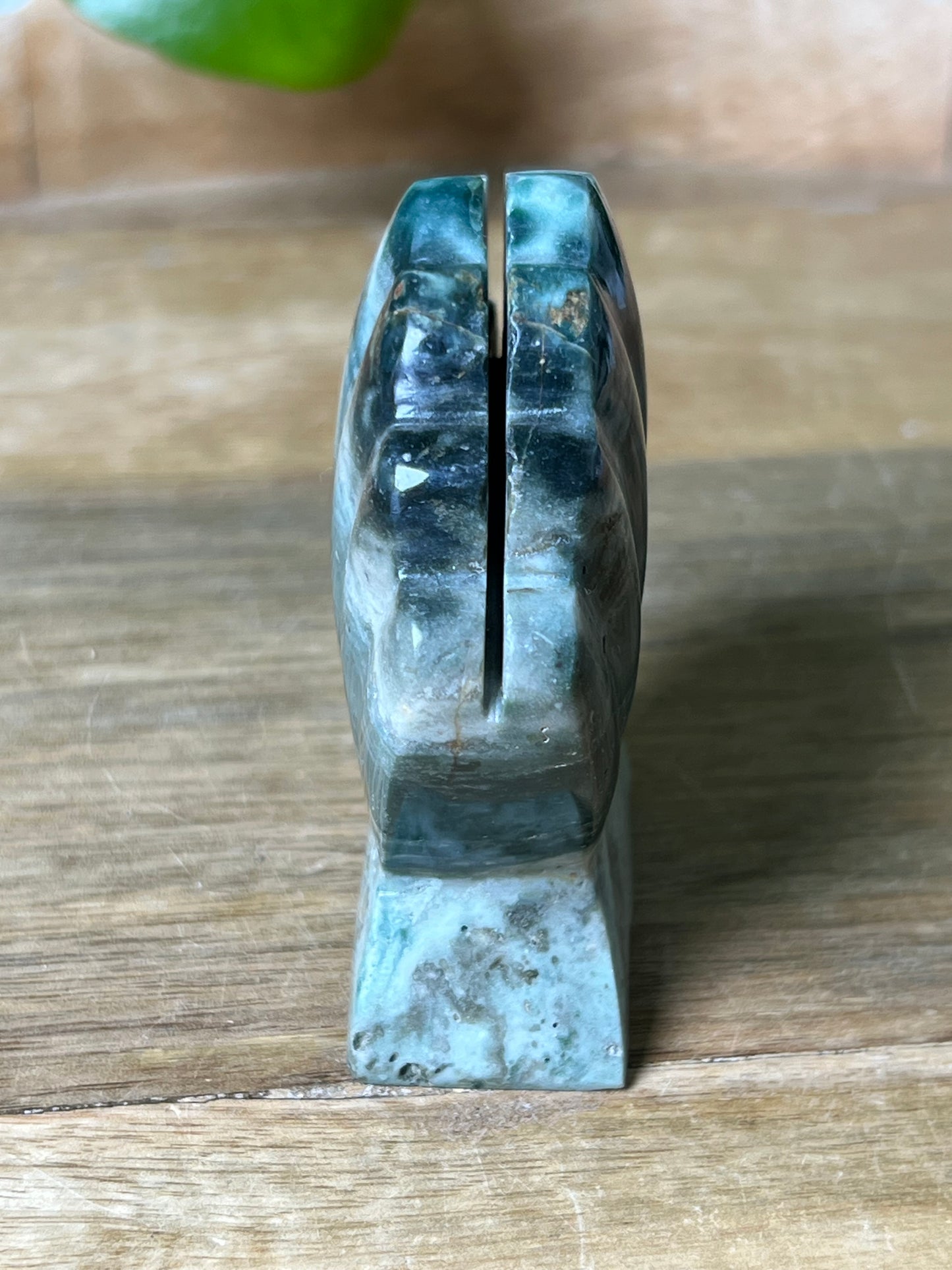 Blue Green Jasper Shell