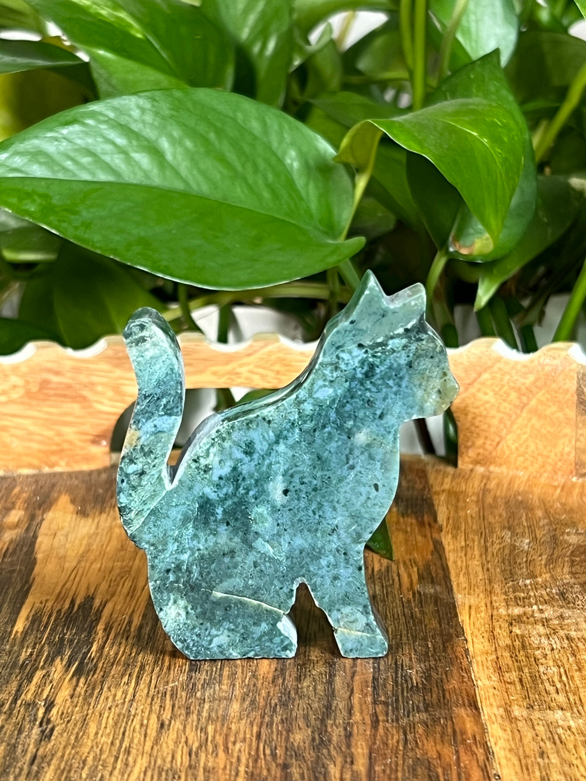 Blue Green Jasper Cats