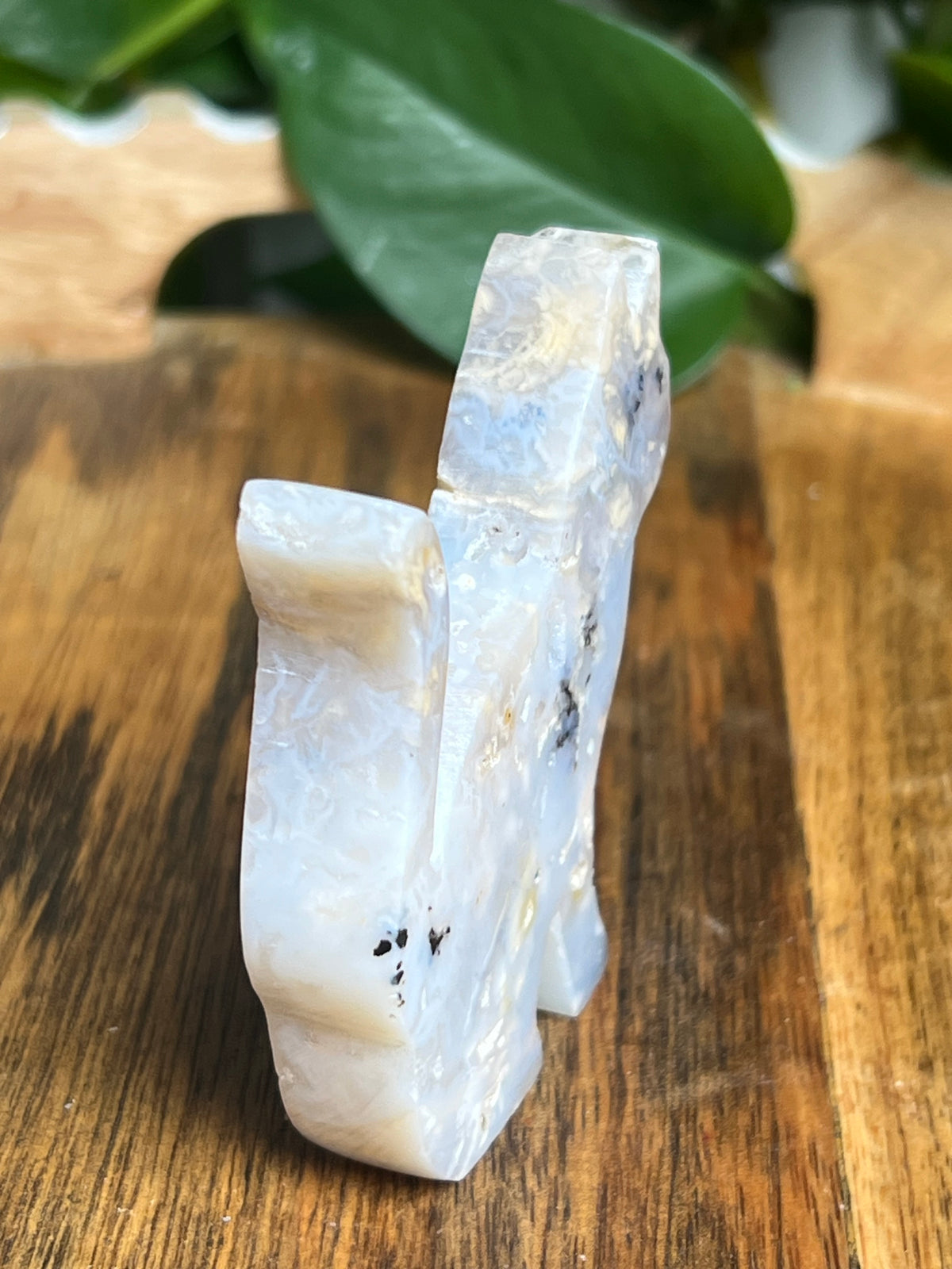 Dendritic Tiger Agate Cat: PC