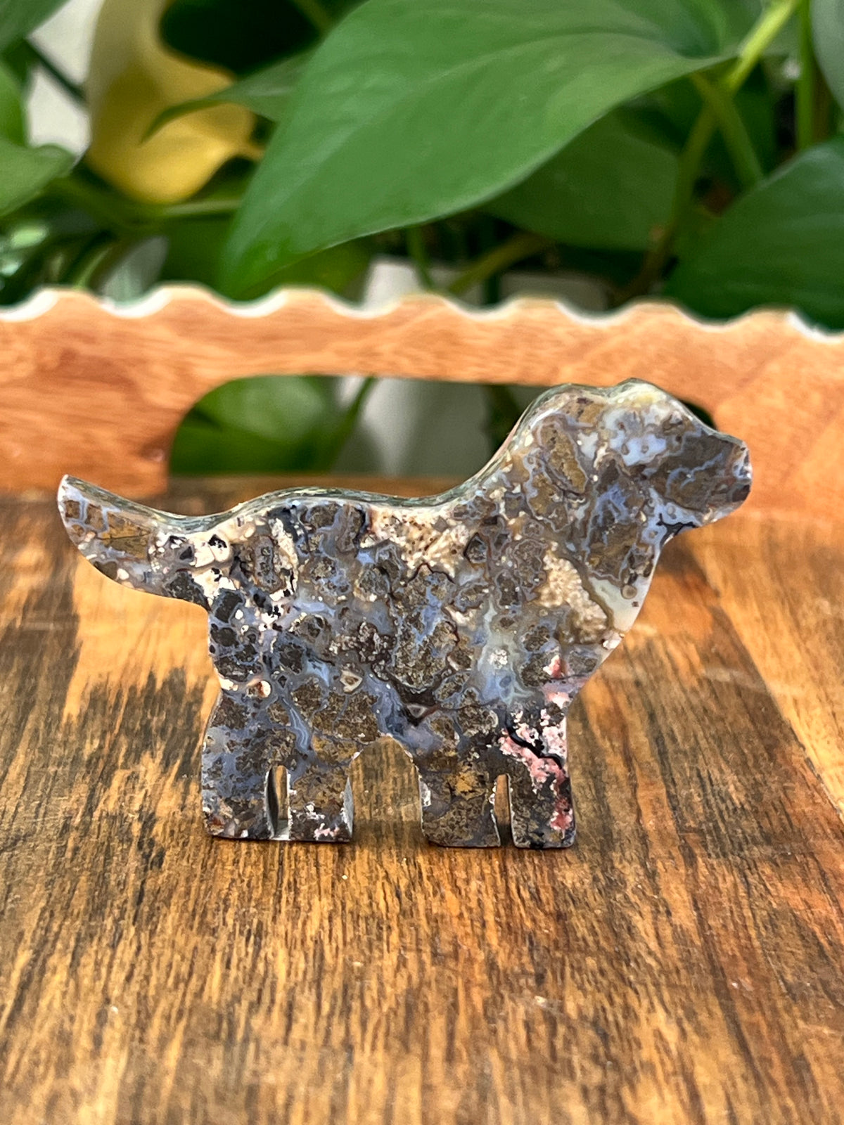 Moody Brecciated Jasper Dogs