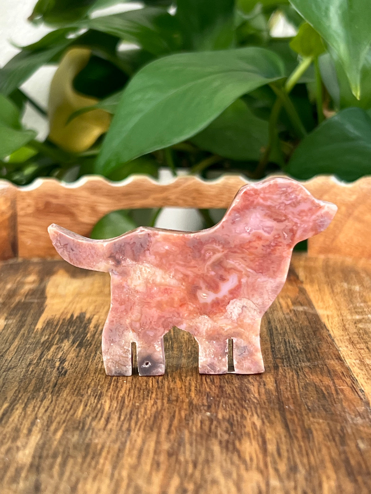 Pink Carnelian Dogs