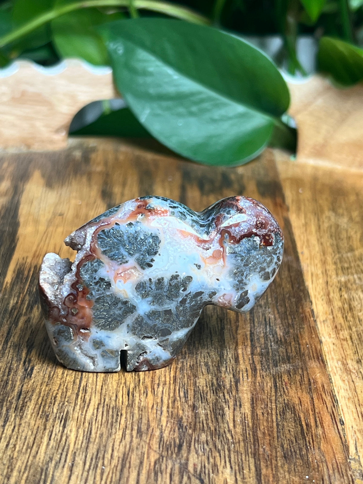 Marcasite Mini Buffalo: ME