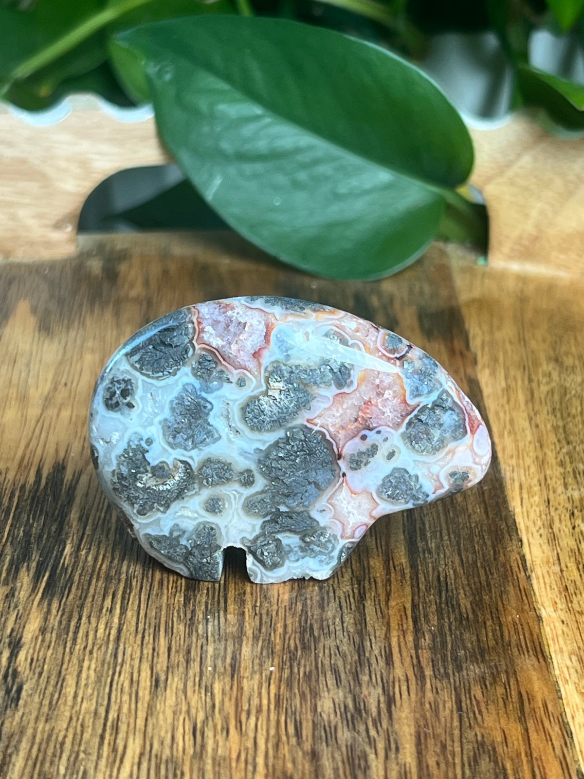 Marcasite Bear: BA