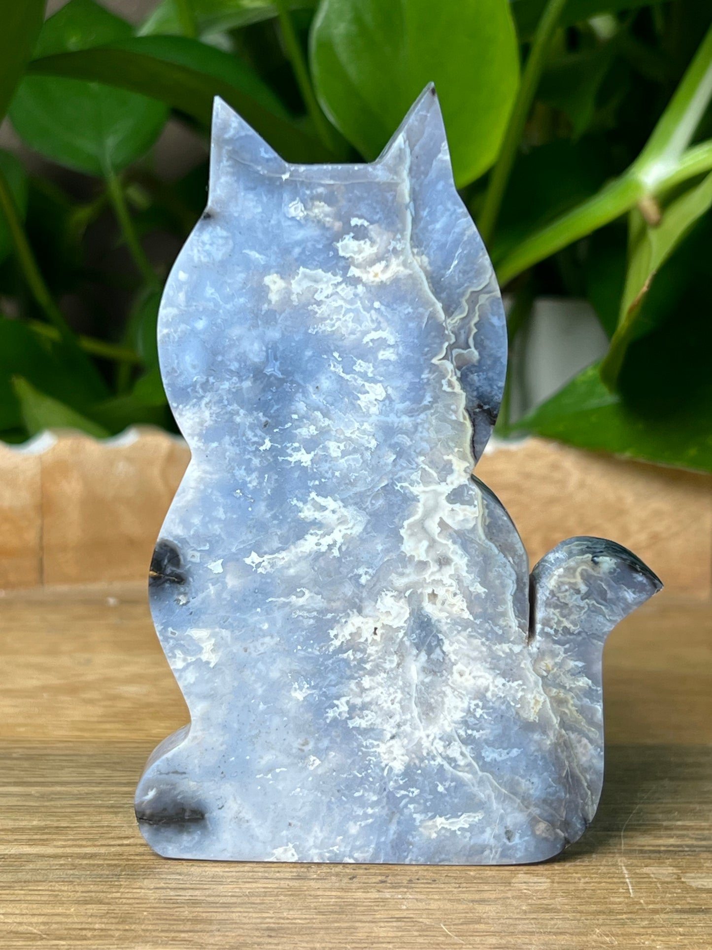 Blue Plume Agate Cat