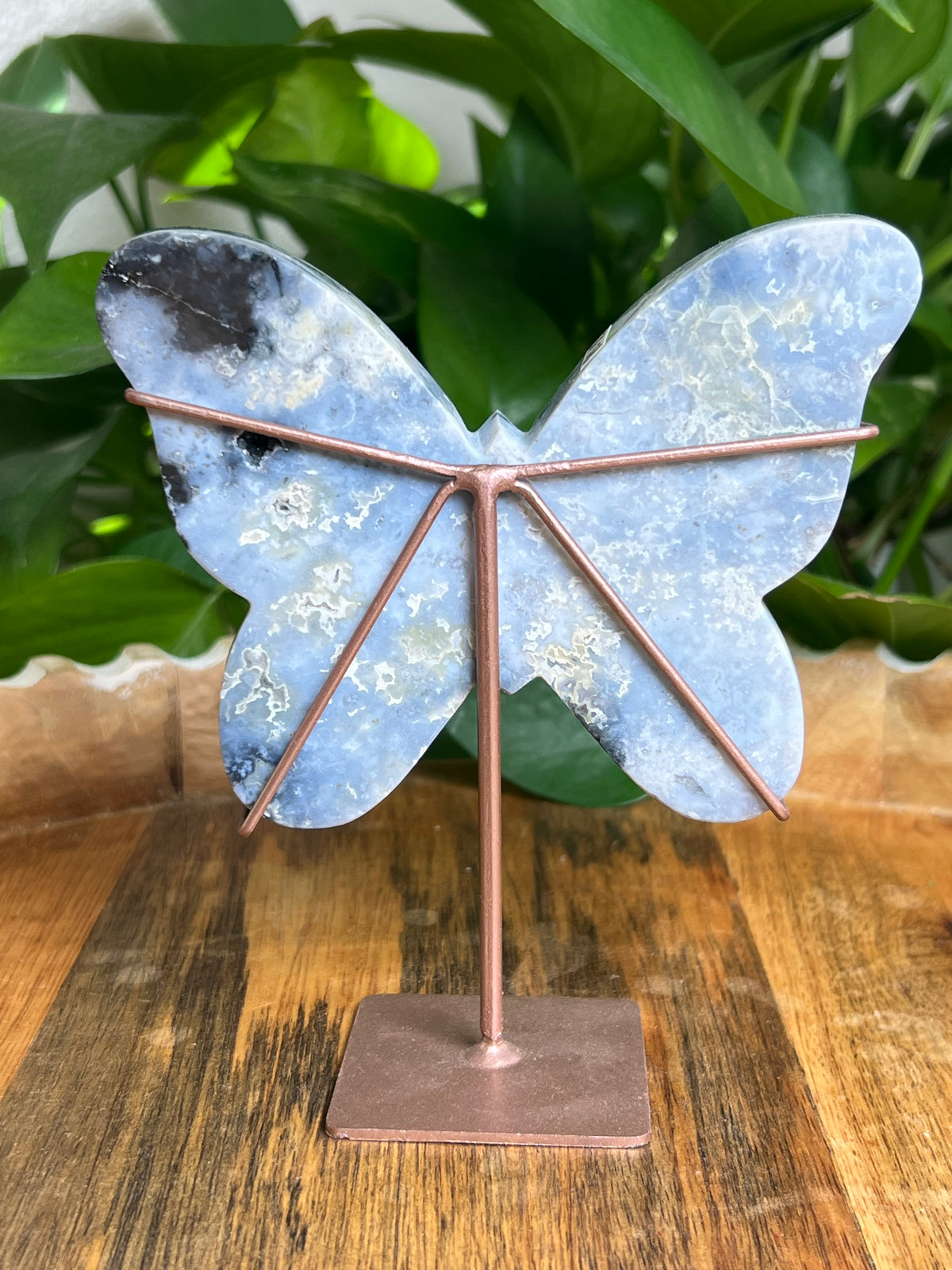 Blue Plume Agate Butterfly: BS