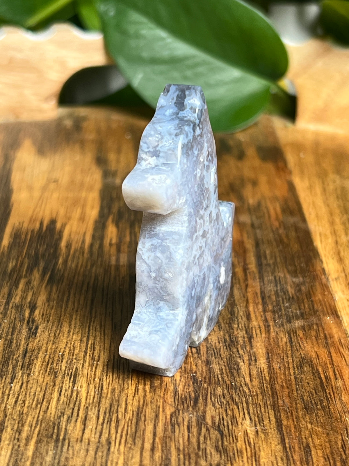 Blue Plume Agate Dog: NB